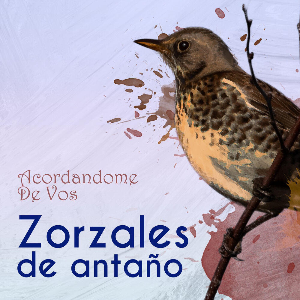 Orquesta Armando Cupo
