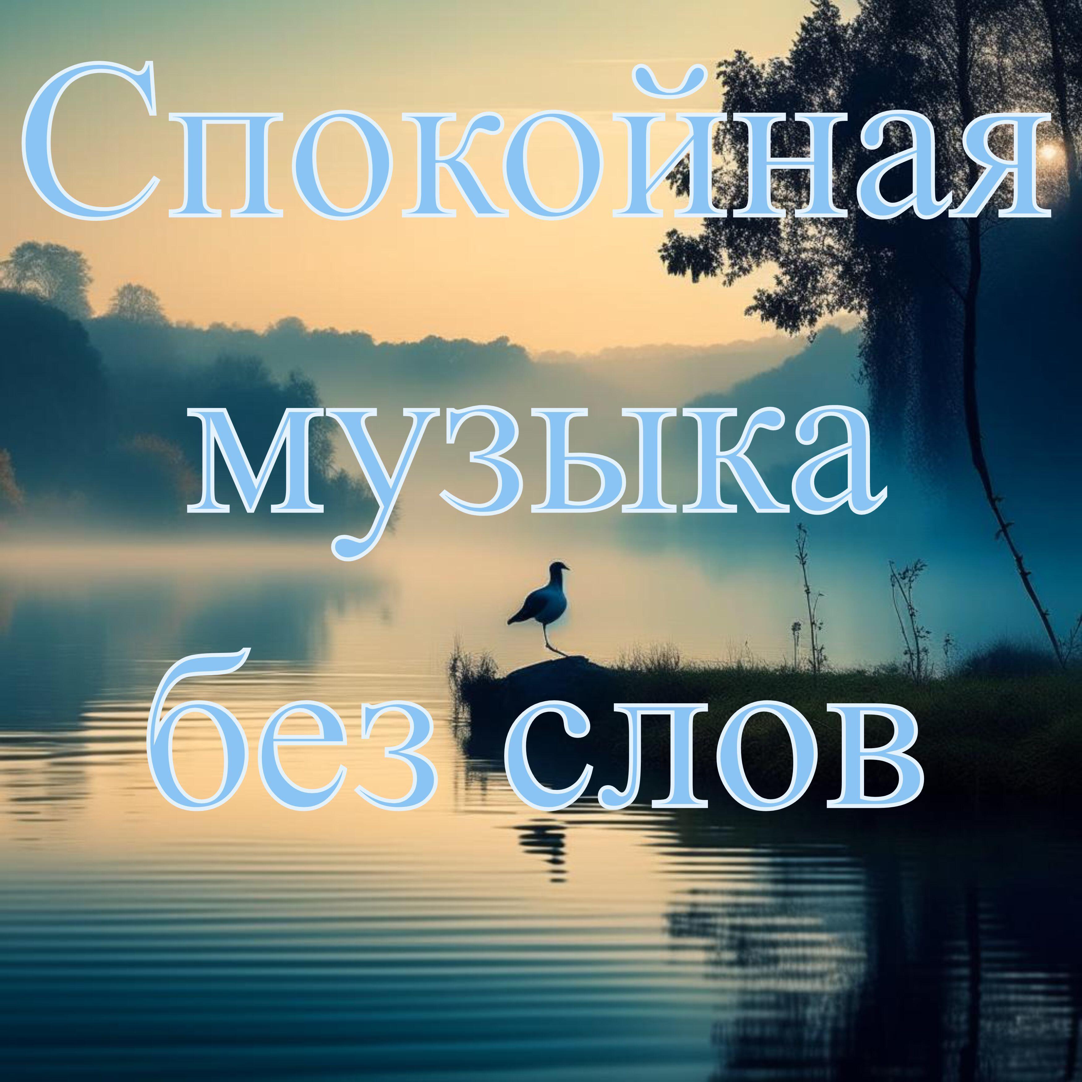 Постер альбома Спокойная музыка без слов
