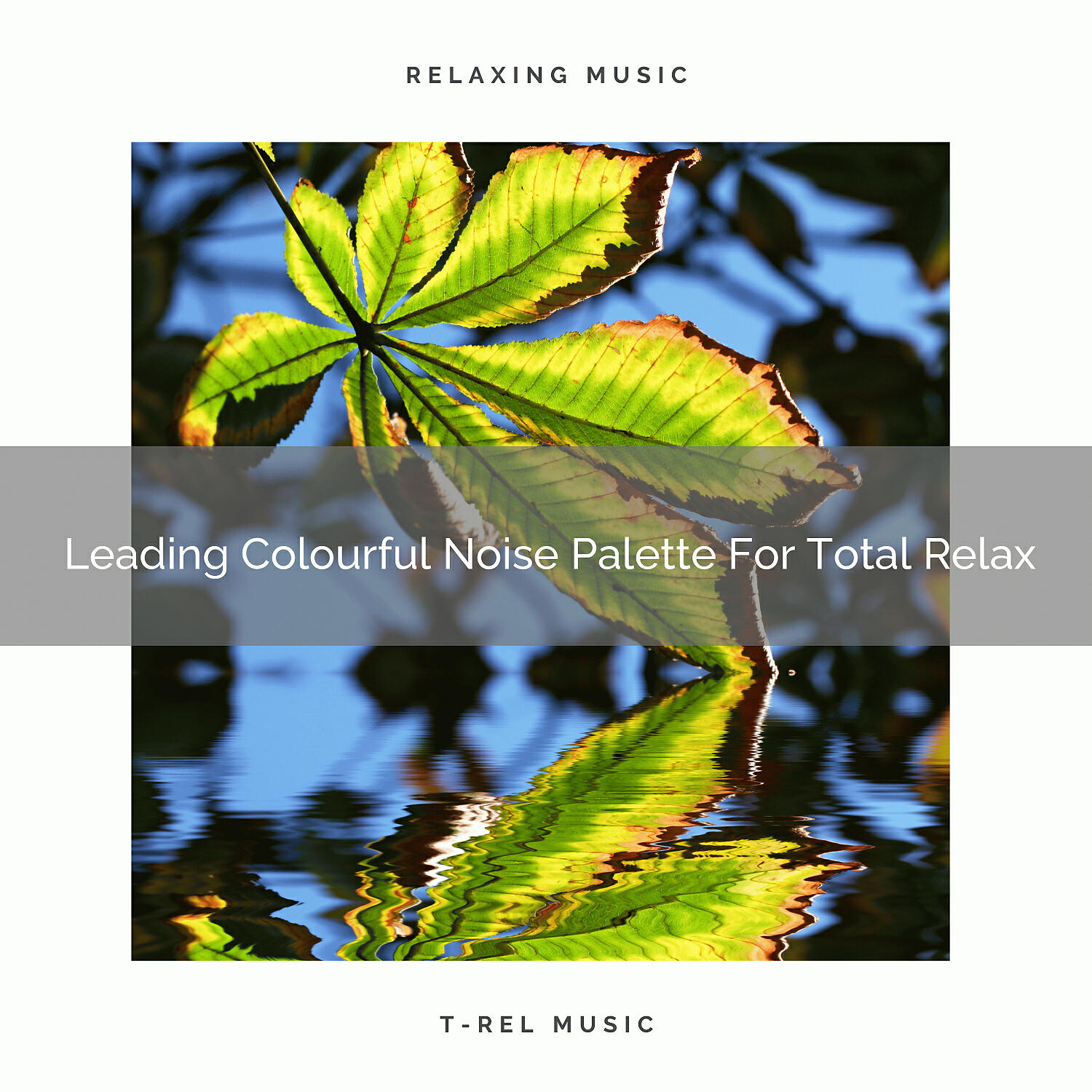 Релиз Leading Colourful Noise Palette For Total Relax