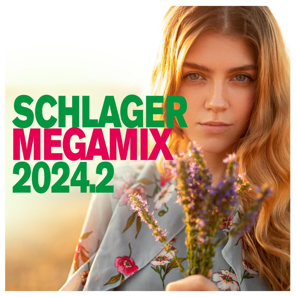 Релиз Schlager Megamix 2024.2