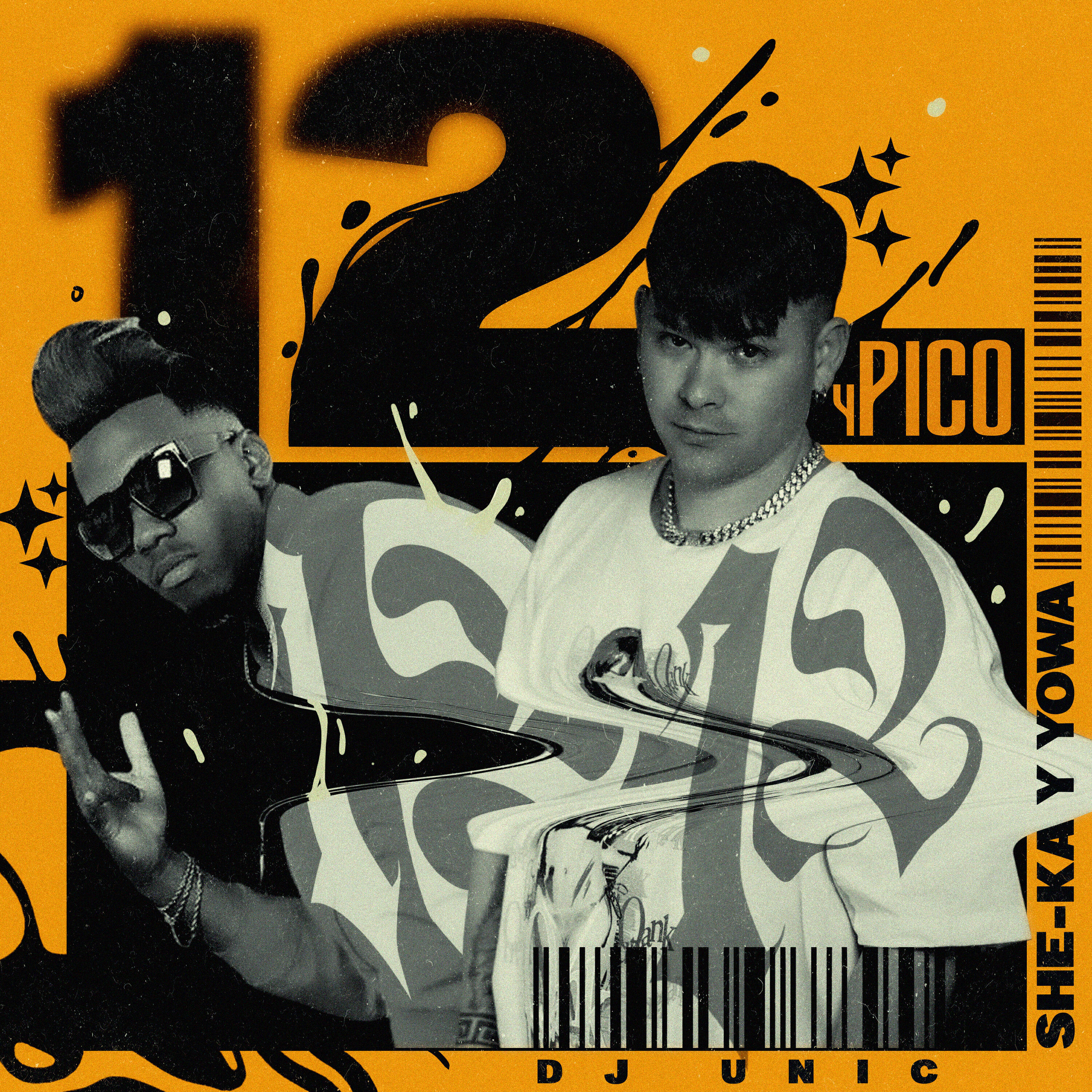 Релиз 12 y Pico