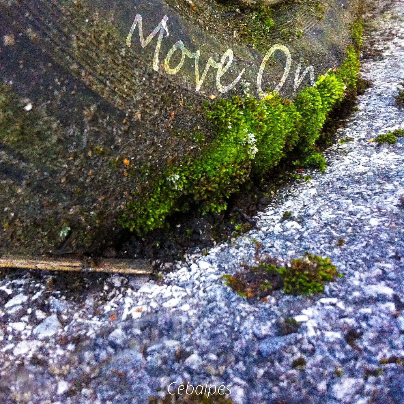 Релиз Move On