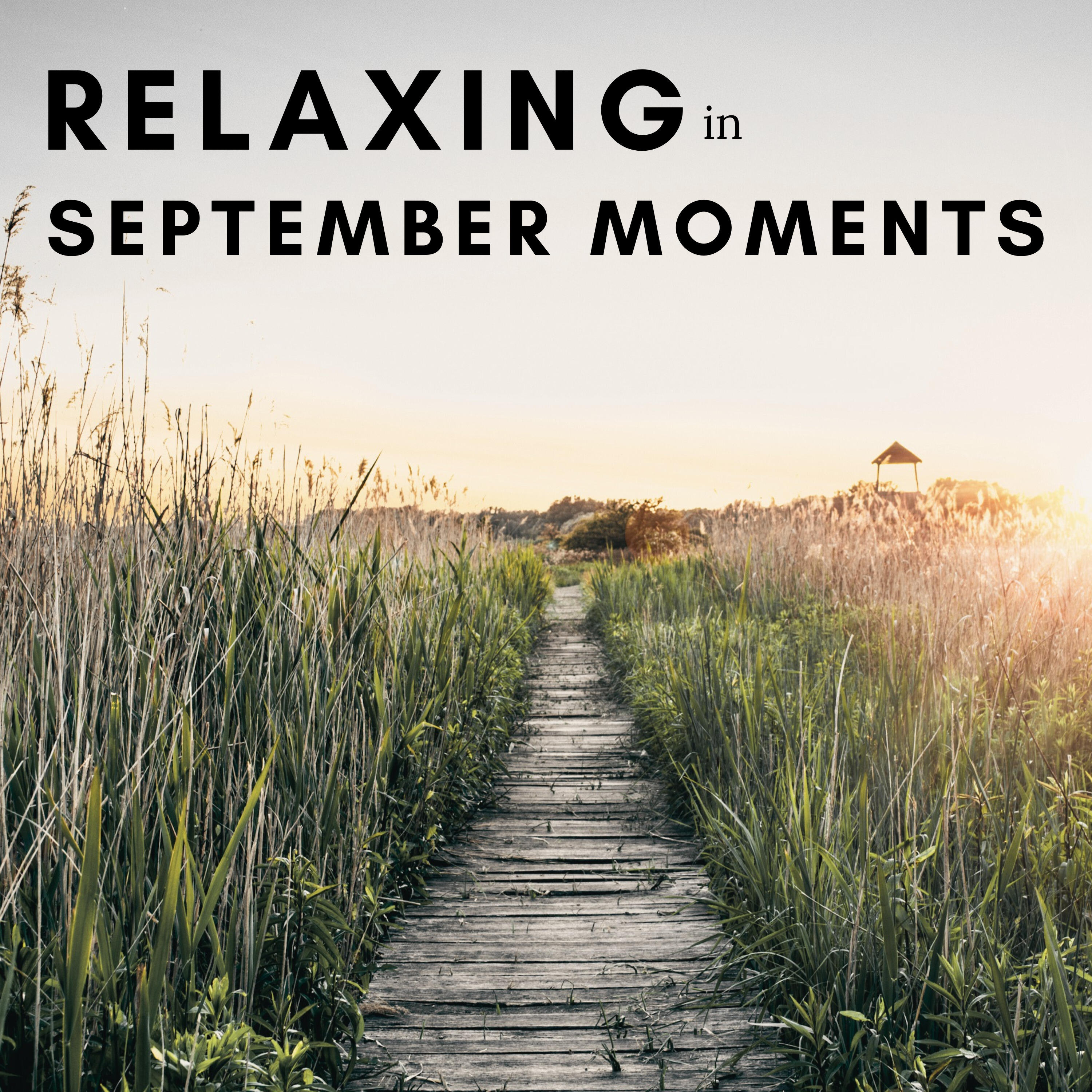 Релиз Relaxing in September Moments