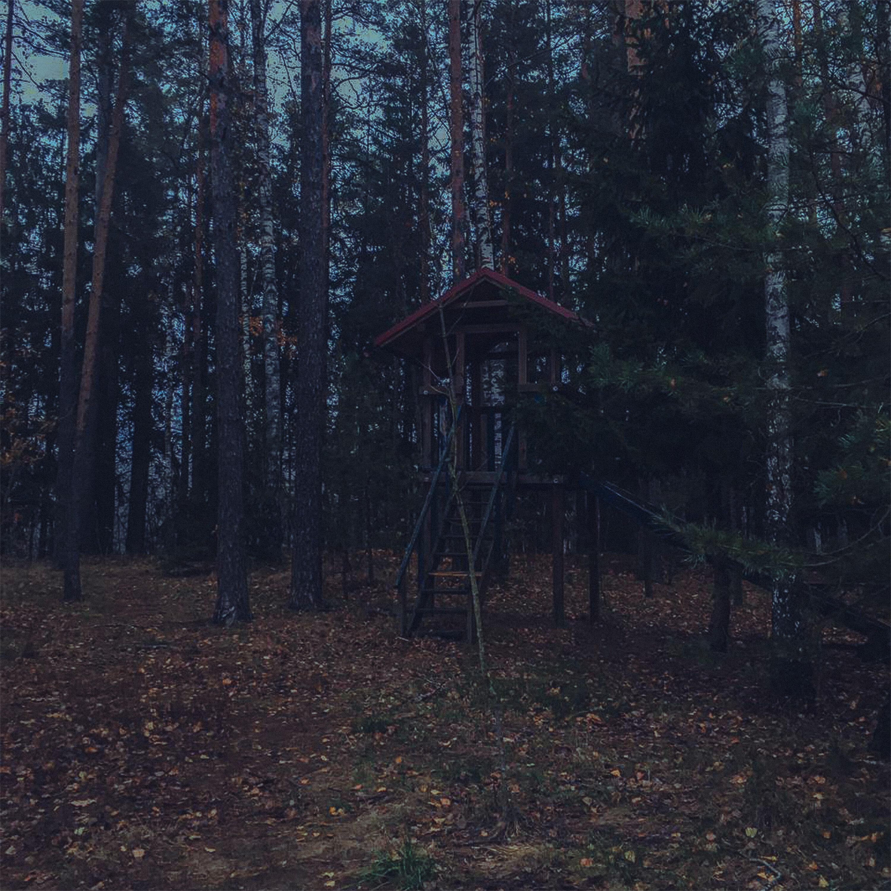 Релиз analog horror