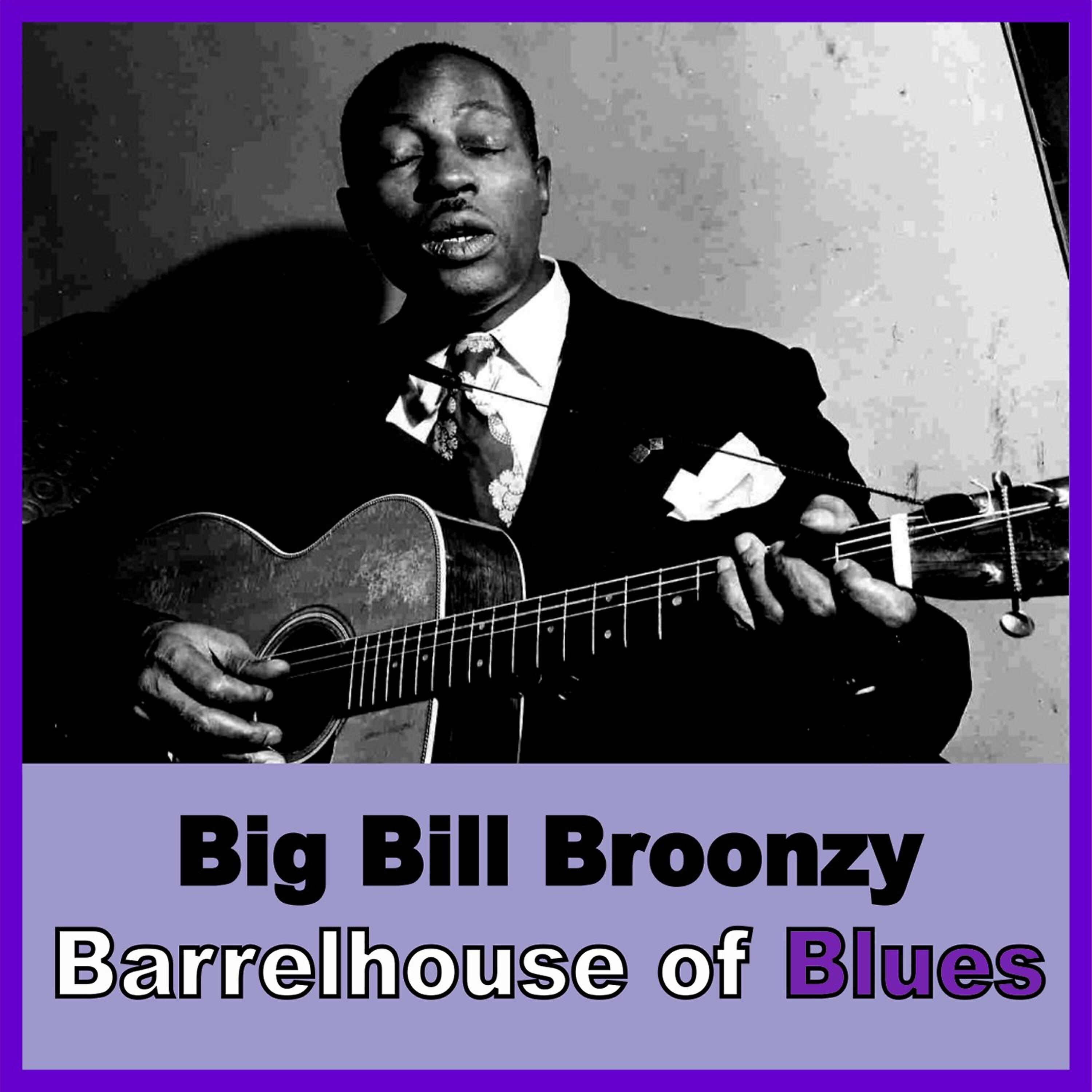 Релиз Barrelhouse of Blues