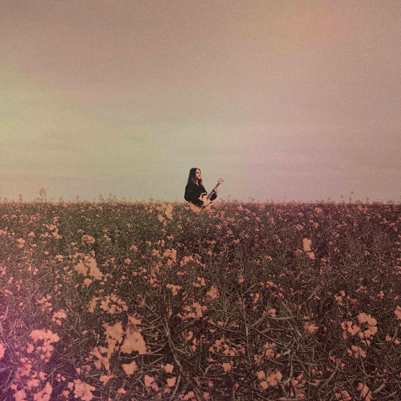 Релиз Josh to Earth