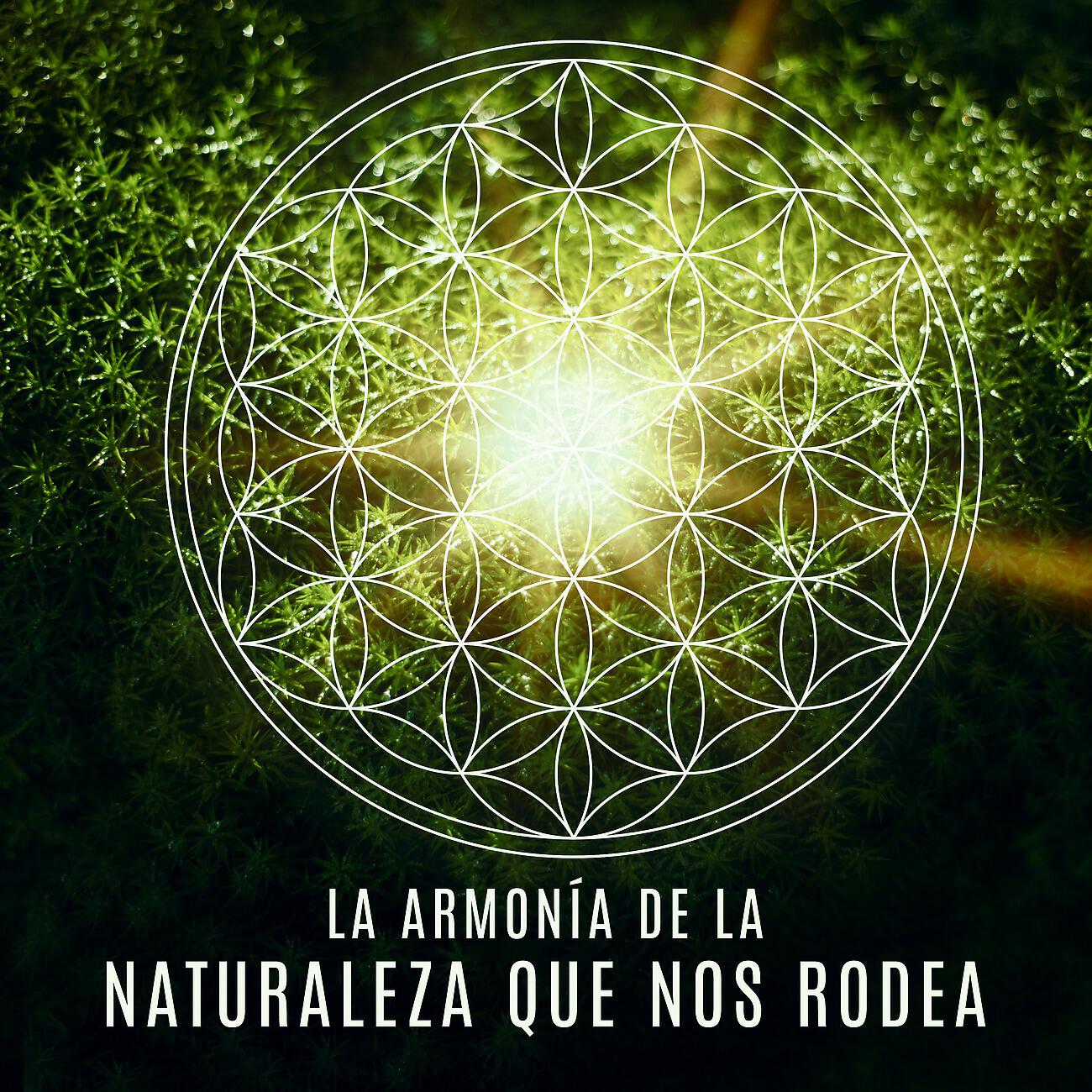 Релиз La Armonía de la Naturaleza Que Nos Rodea