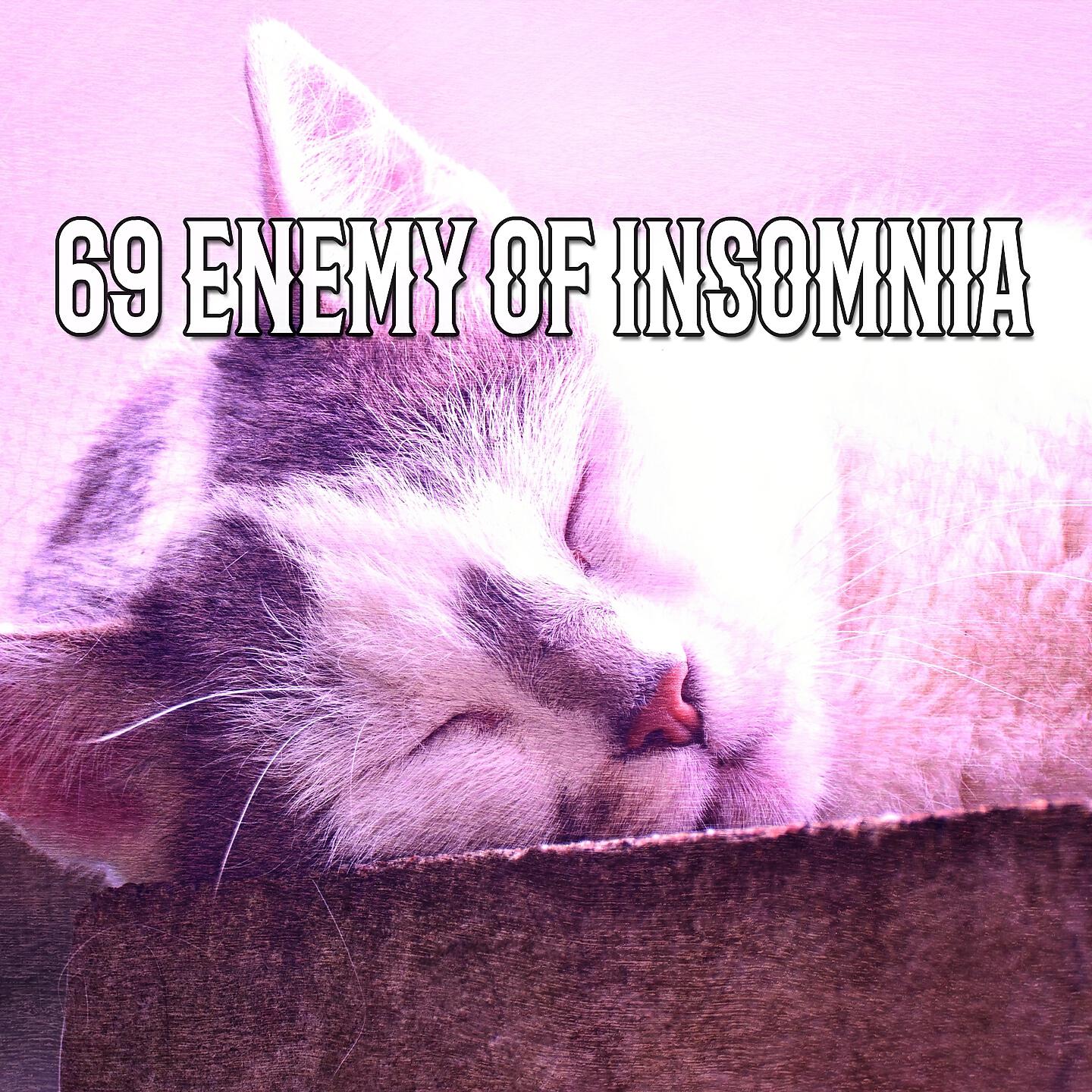 Релиз 69 Enemy Of Insomnia