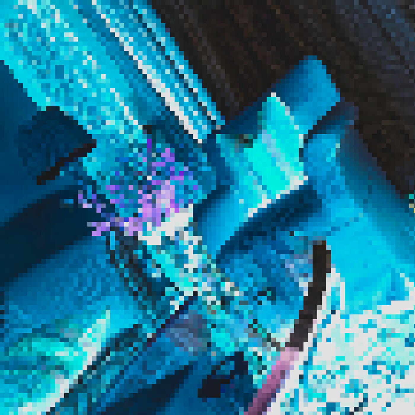 Релиз Bengaluru Blue