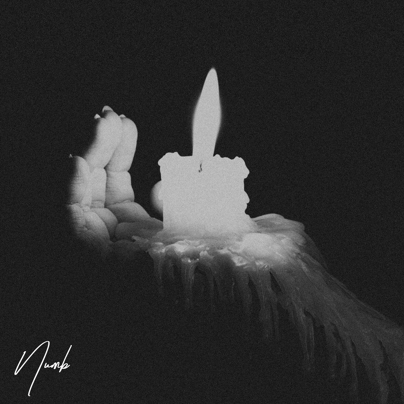 Релиз Numb