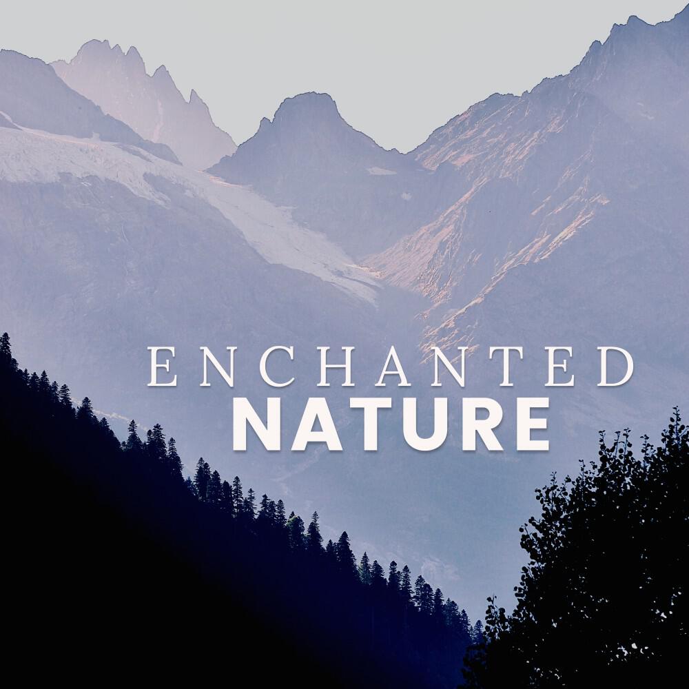 Релиз Enchanted Nature