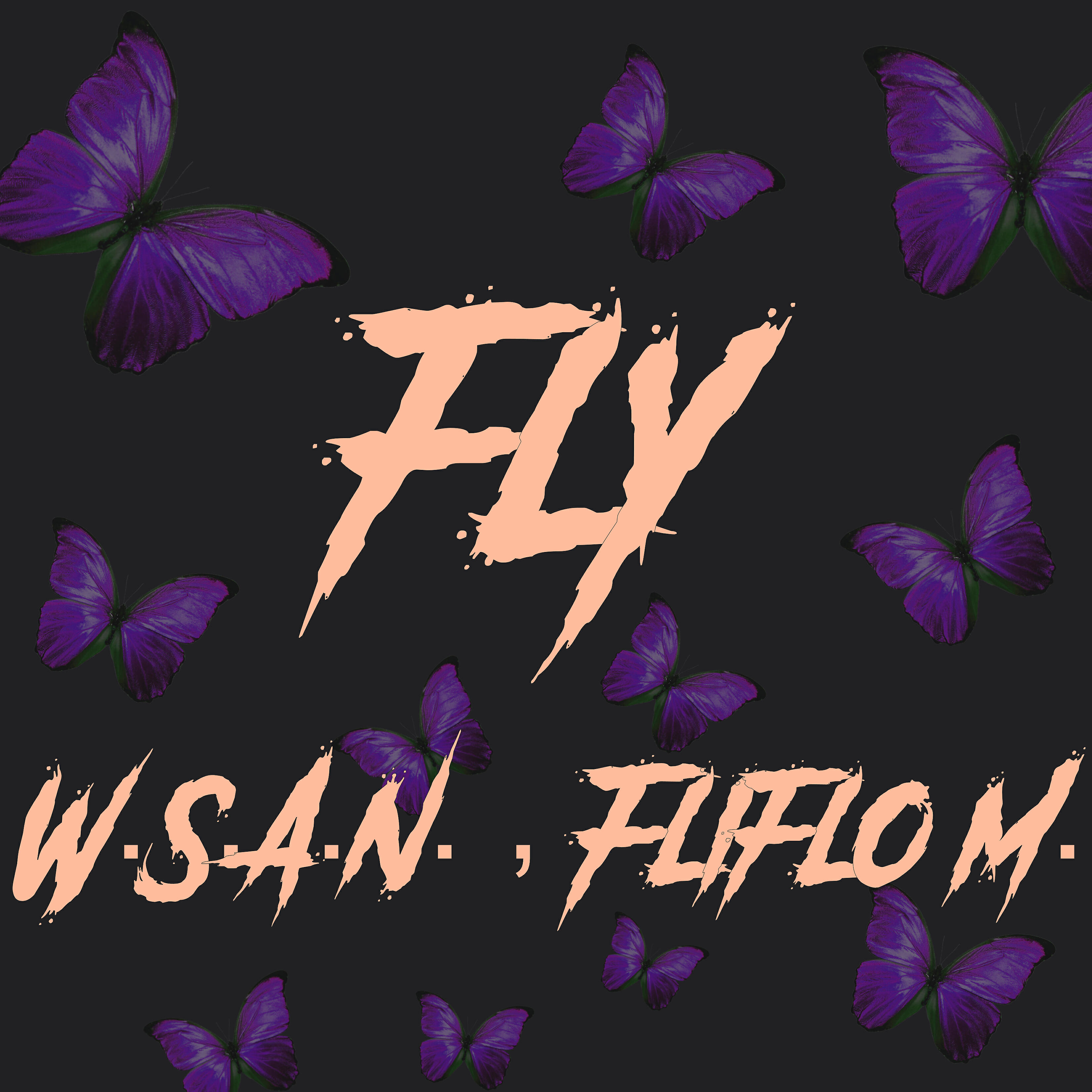 W.s.a.n.