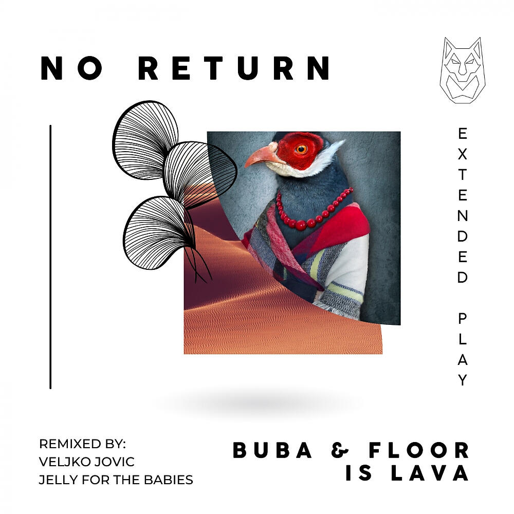 Постер альбома No Return