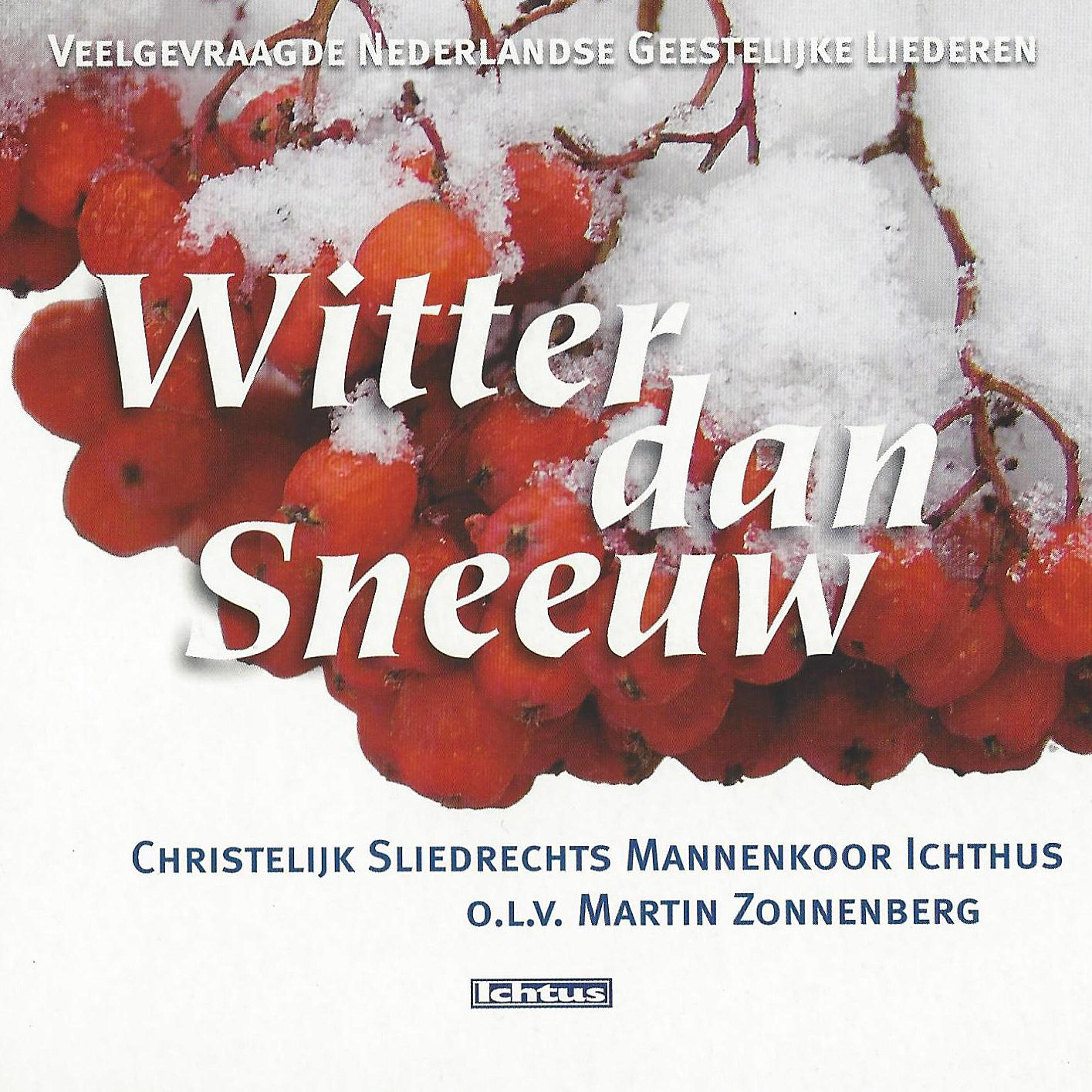 Релиз Witter Dan Sneeuw