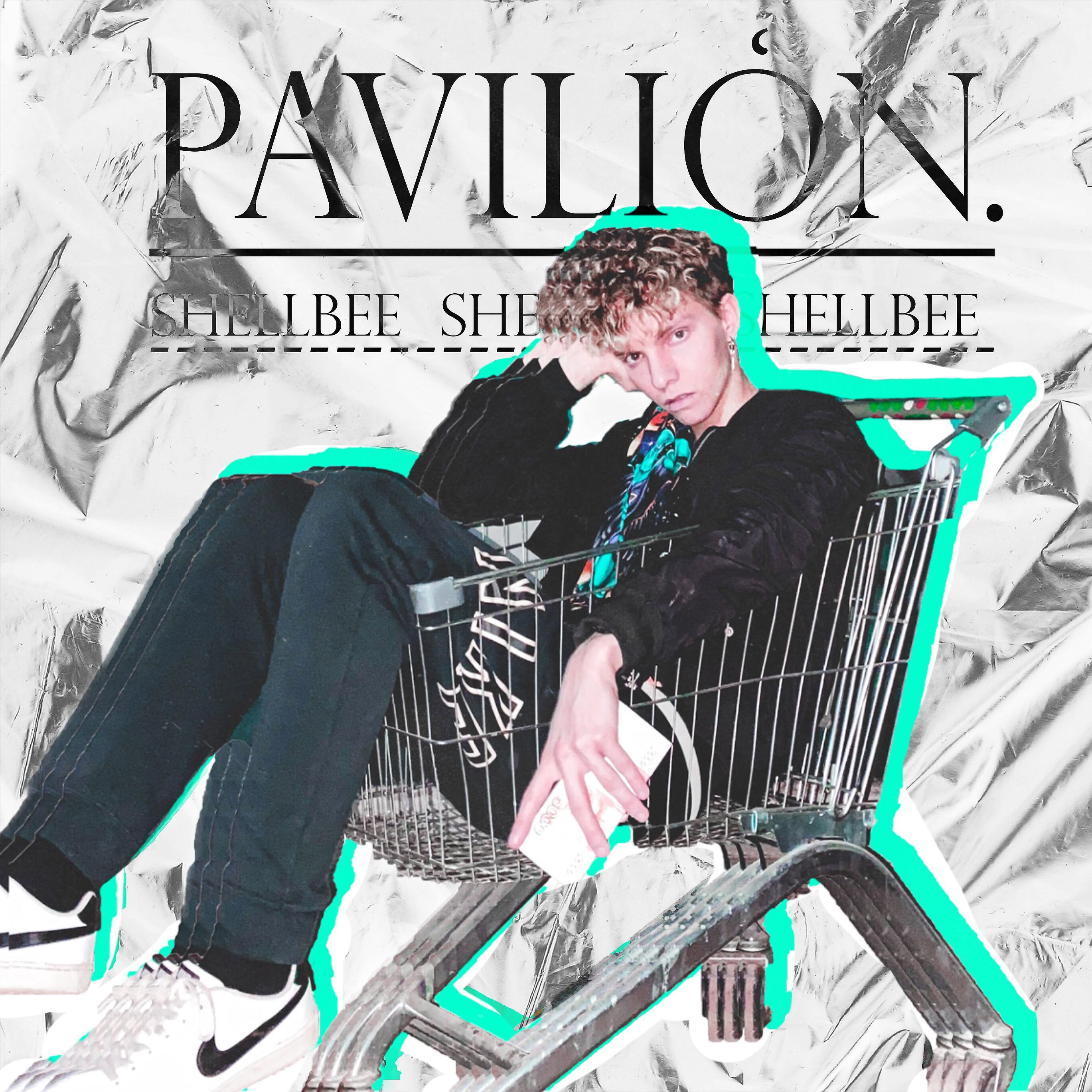 Релиз Pavilion