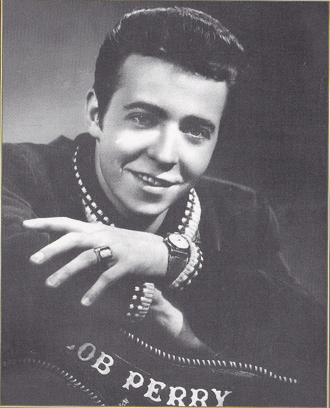 Bob Perry