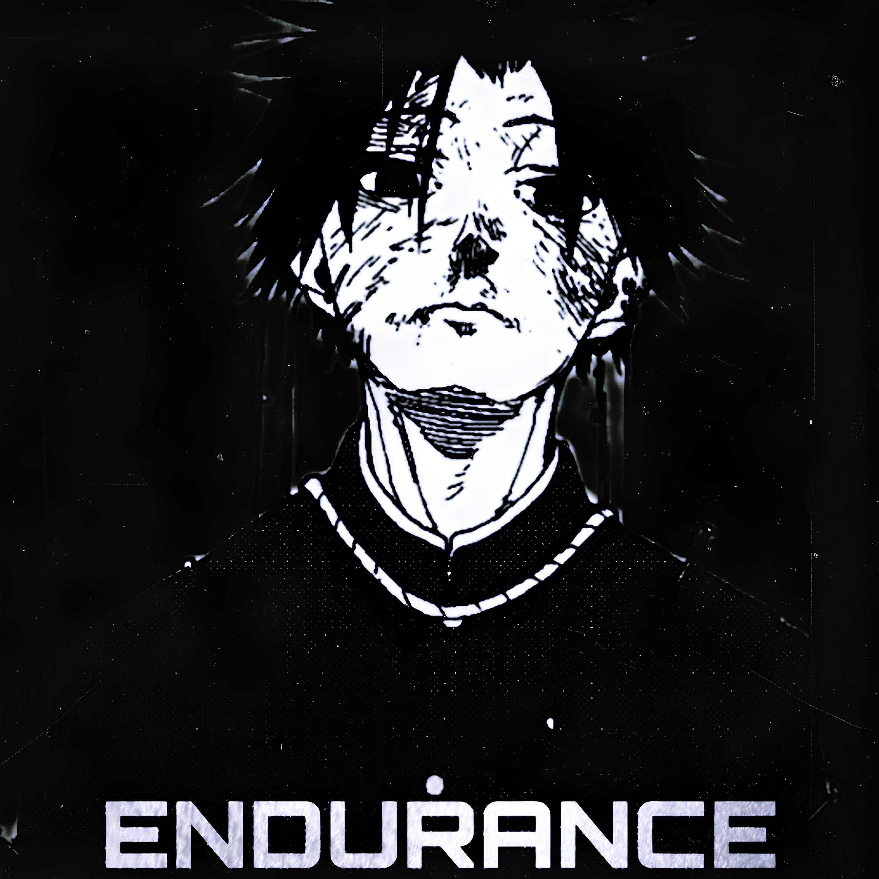 Релиз ENDURANCE