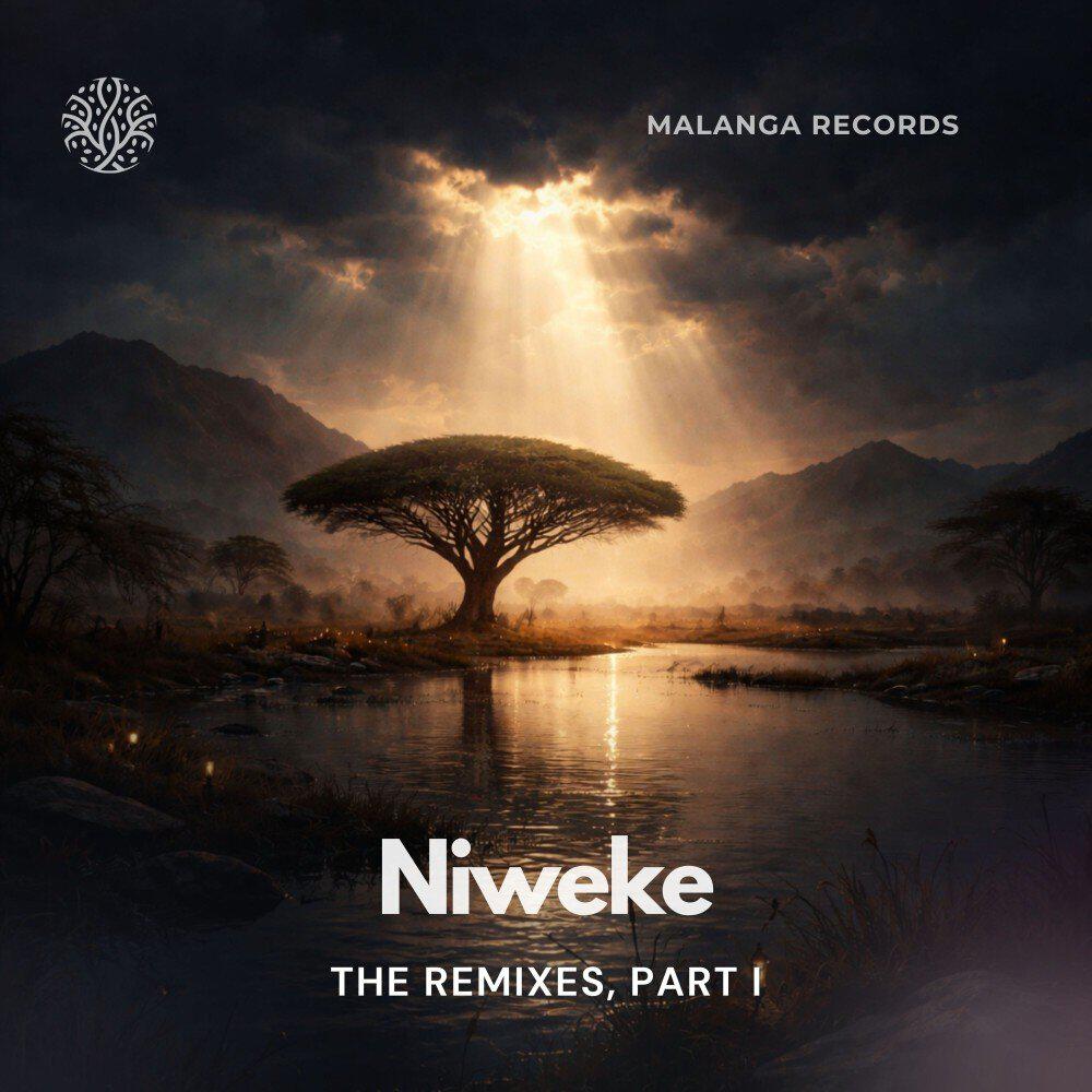 Релиз Niweke - The Remixes, Part I