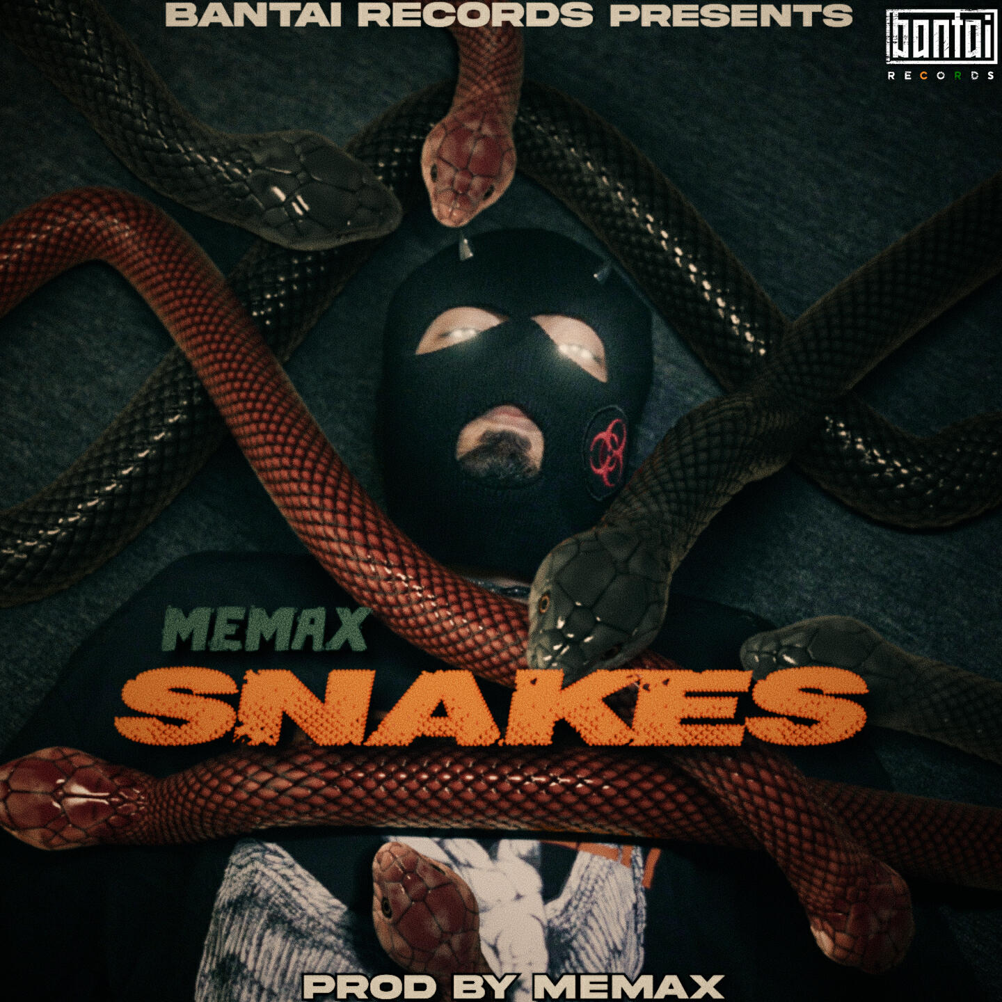 Релиз SNAKES
