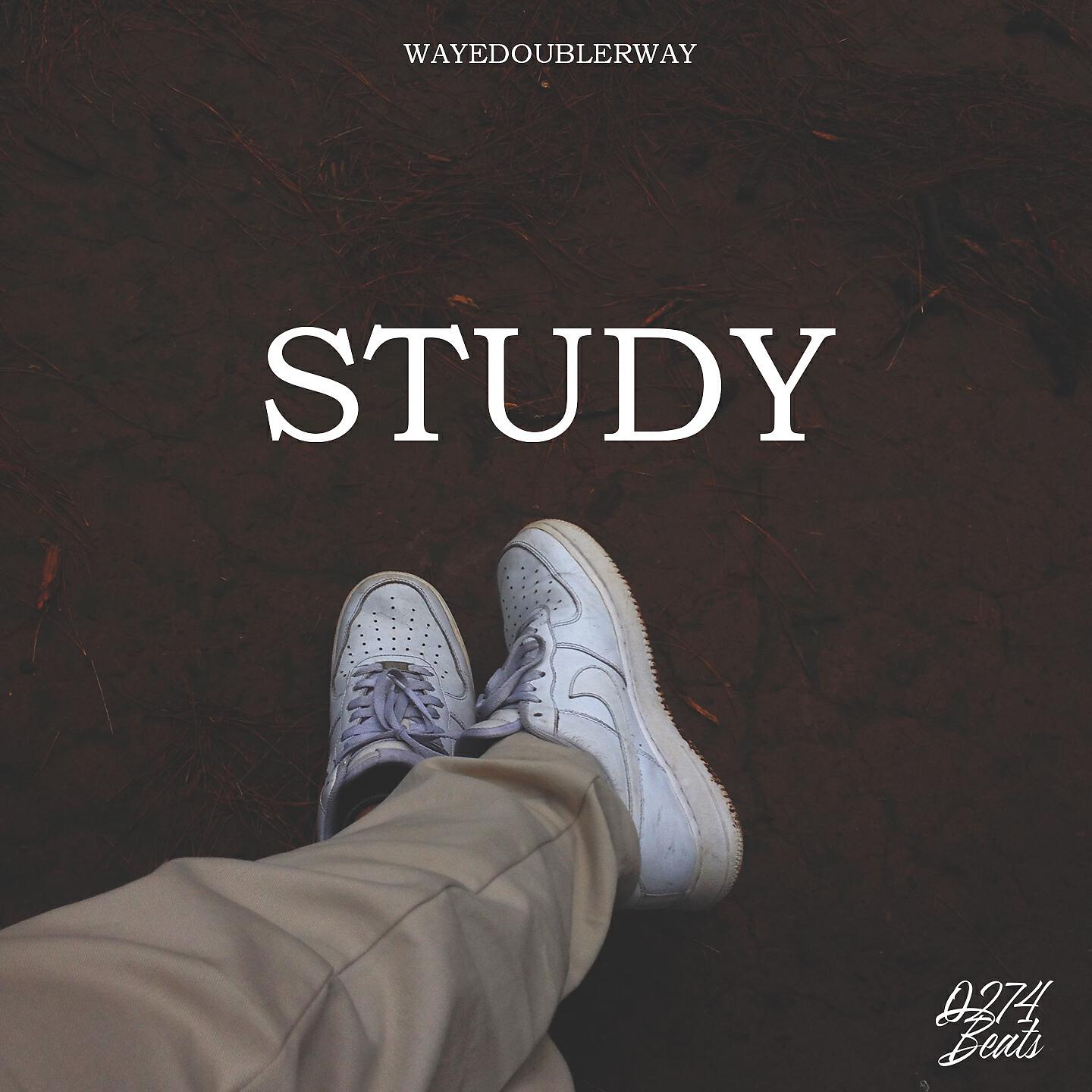Релиз Study