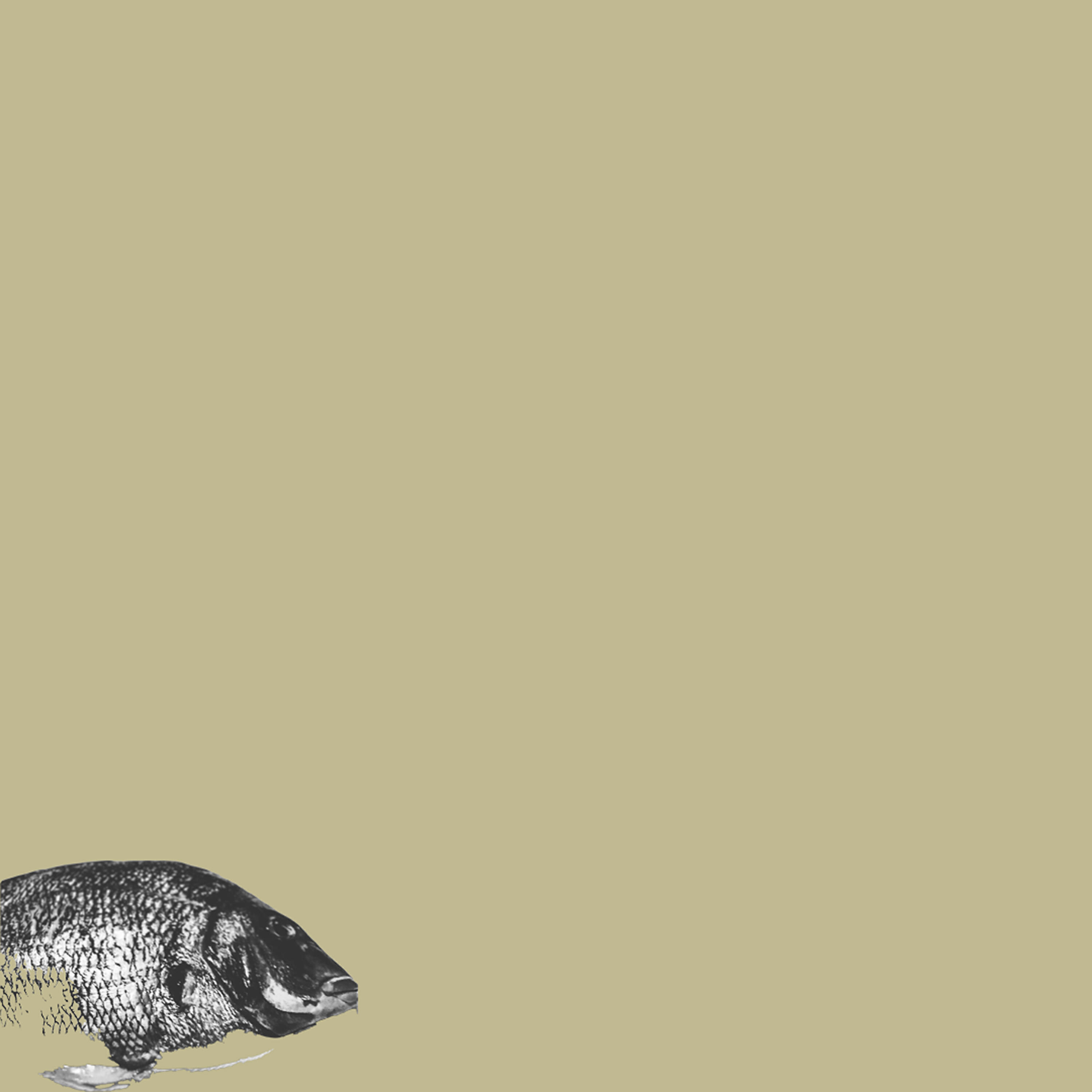 Релиз Flounder/Face-Down Picture Frames