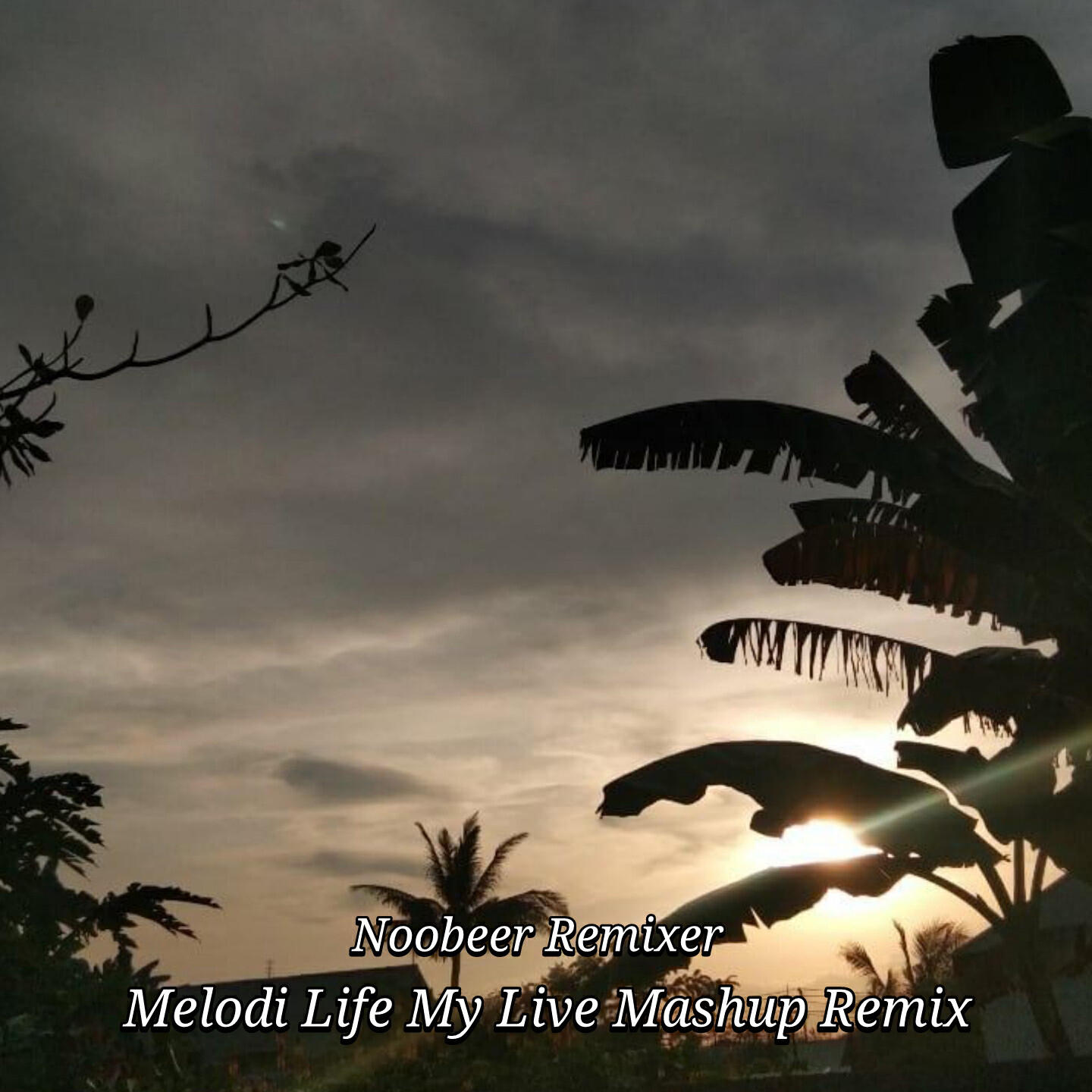 Релиз Melodi Life My Live Mashup