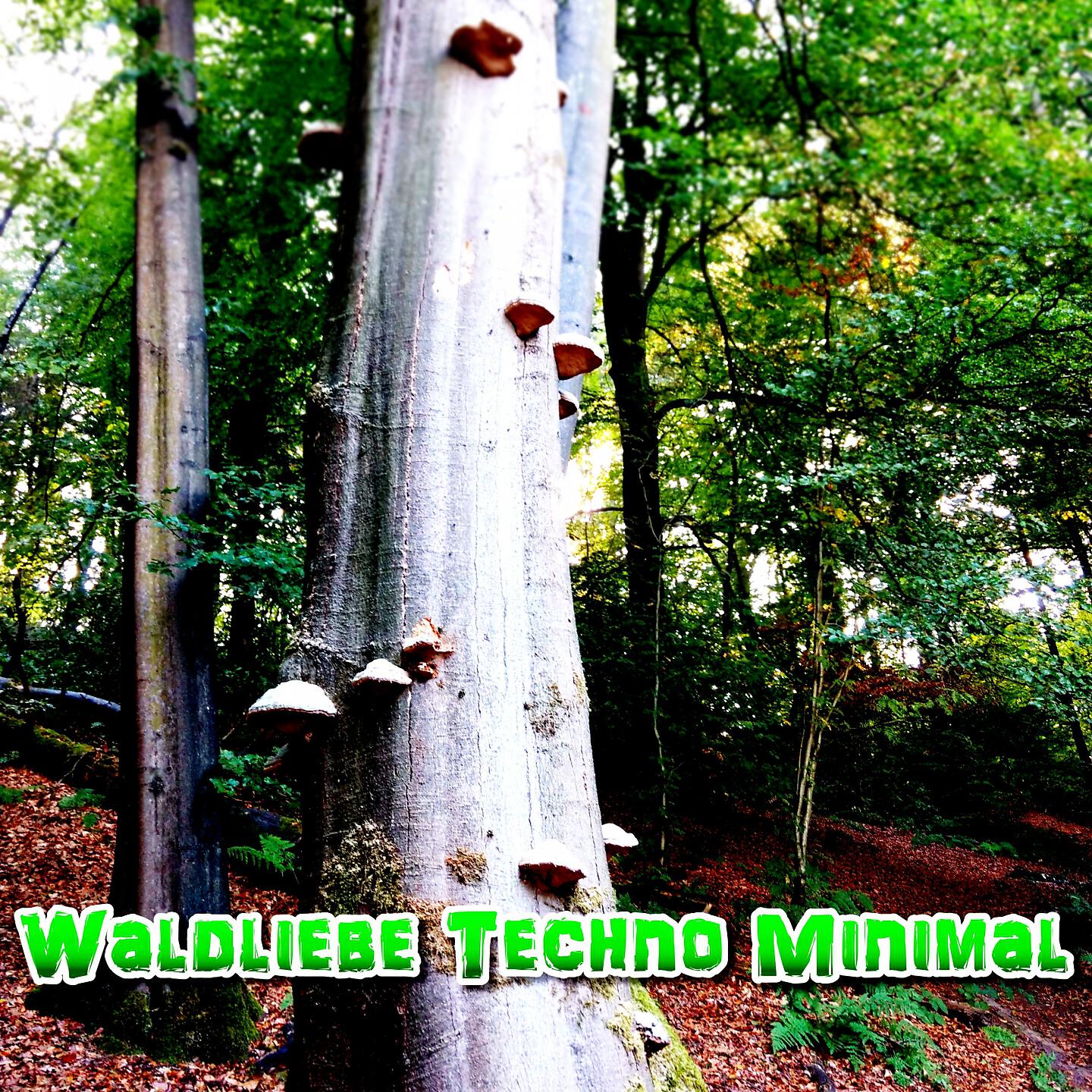 Релиз Waldliebe Techno Minimal