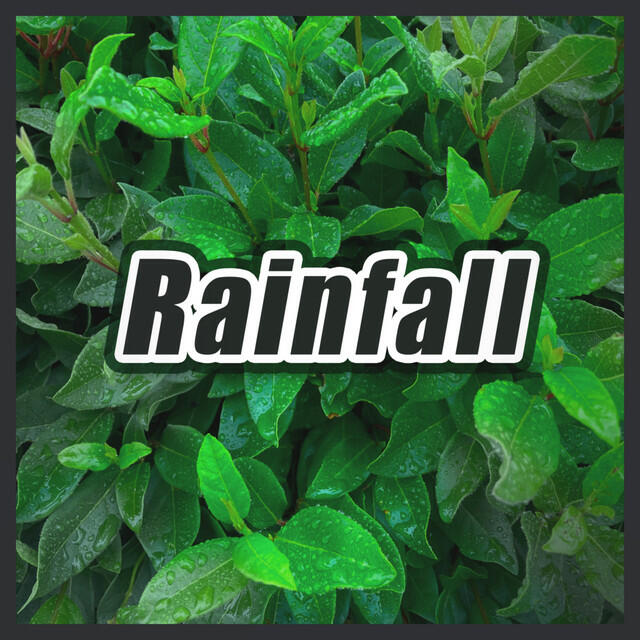 Релиз Rainfall