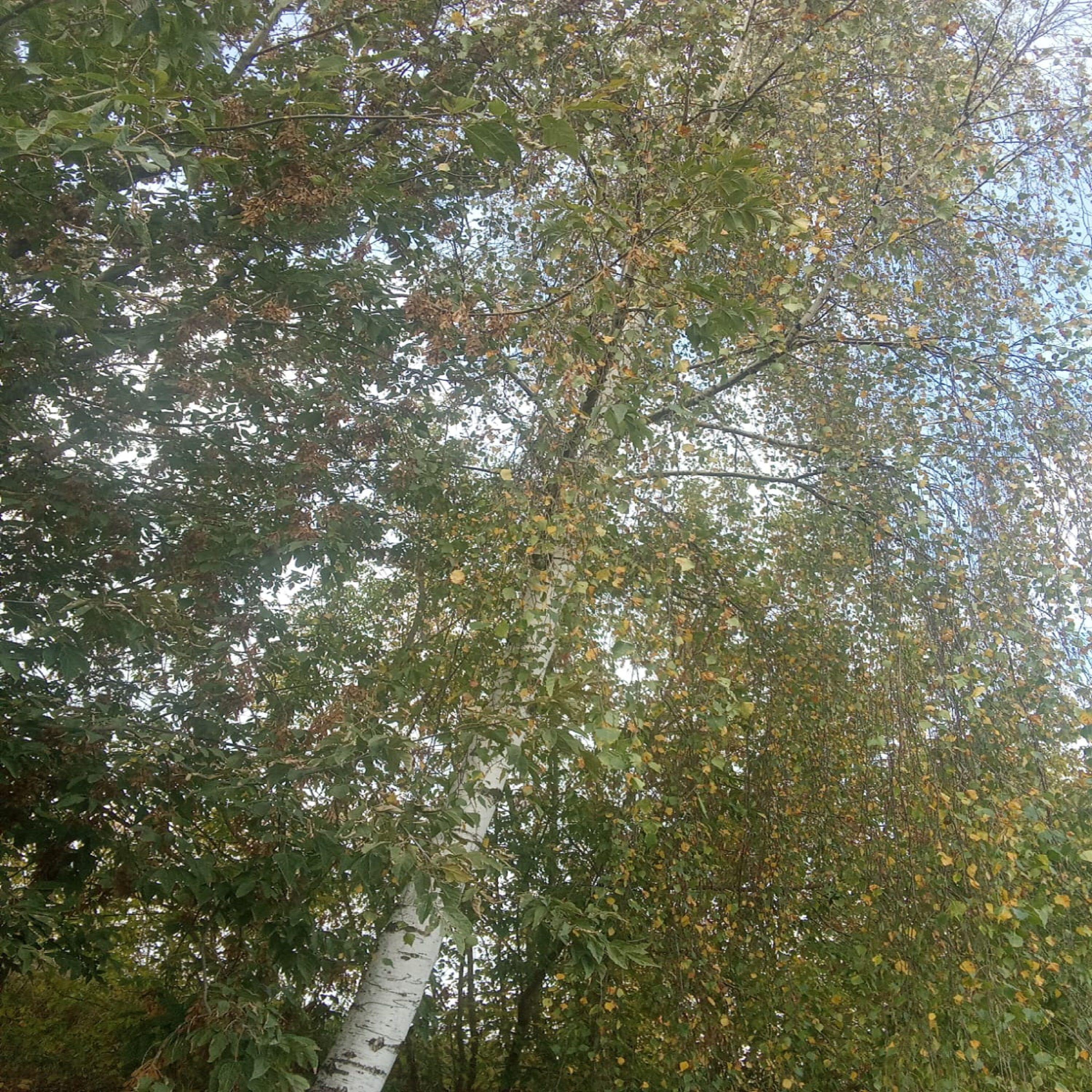 Релиз Мне так нравится тебе нравиться