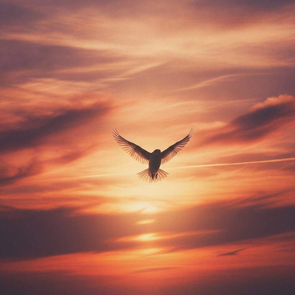 Релиз Let Go and Fly