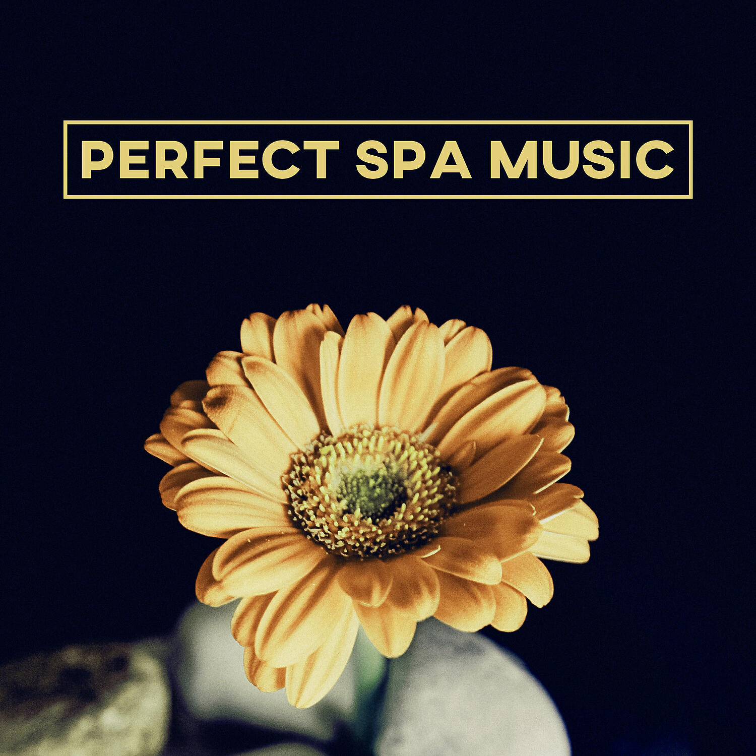 Релиз Perfect Spa Music – Relaxation Massage, Nature Spa Music to Relieve Stress, Reduce Anxiety, Relaxing Music, Beautiful Moments