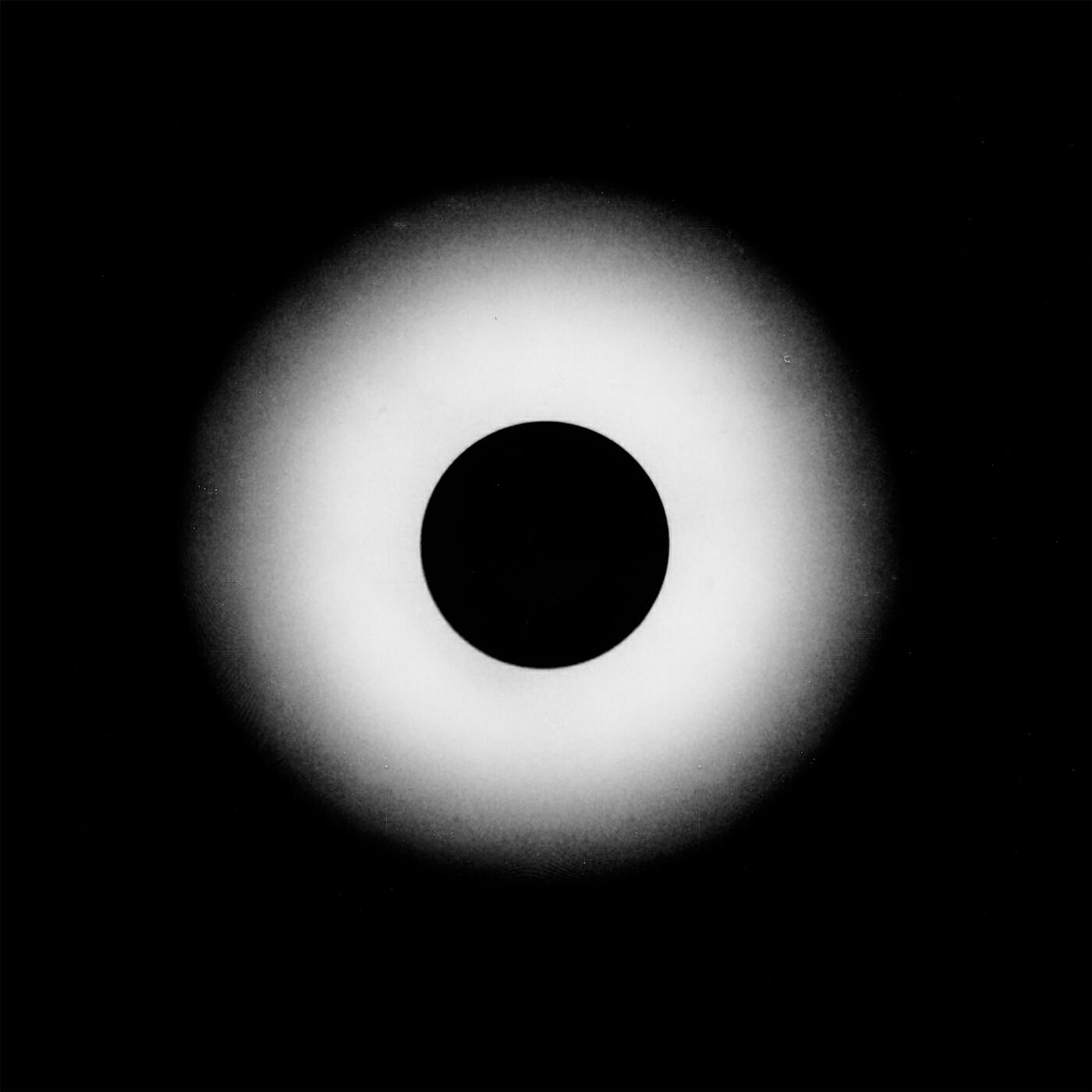 Релиз Signal