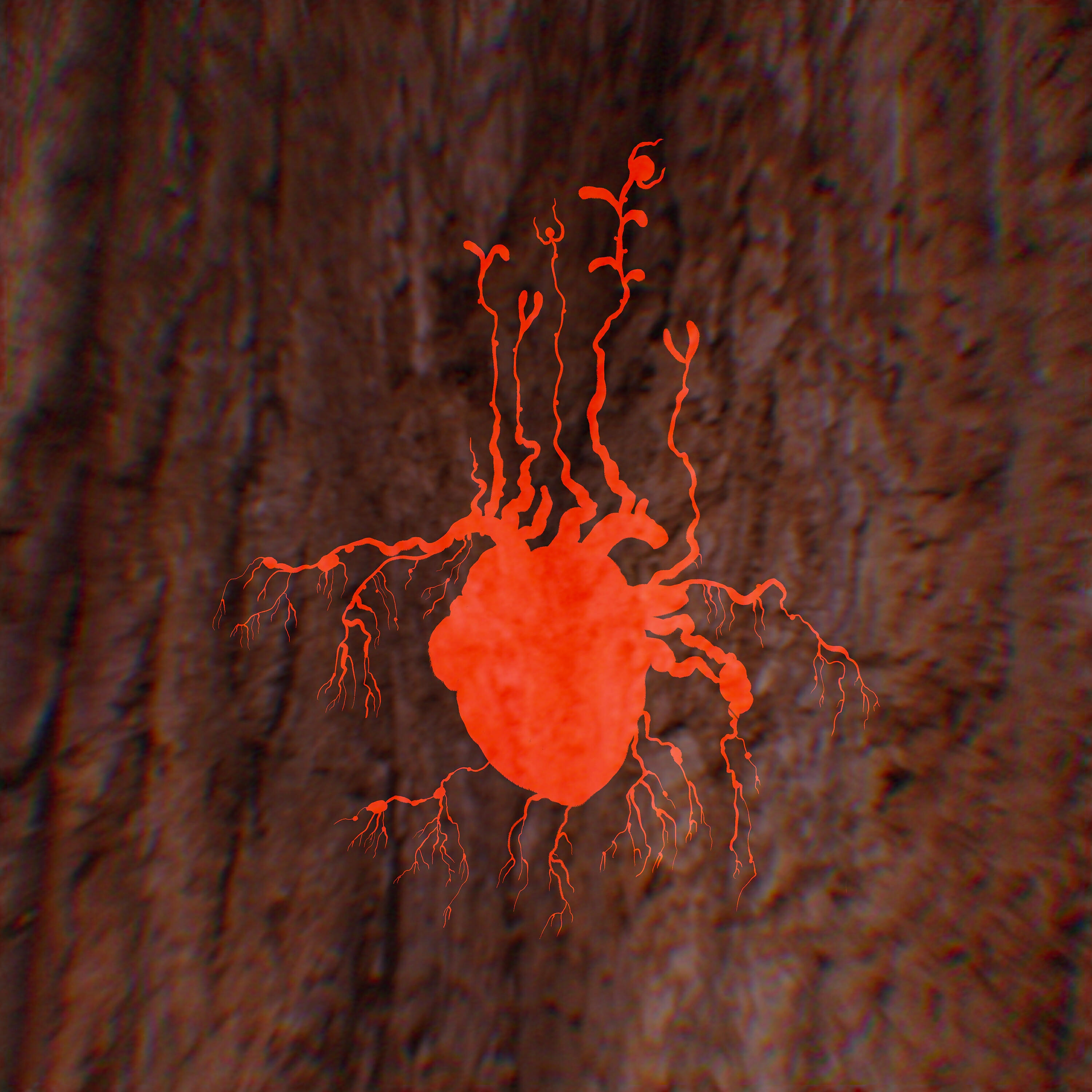 Релиз Løvehjerte