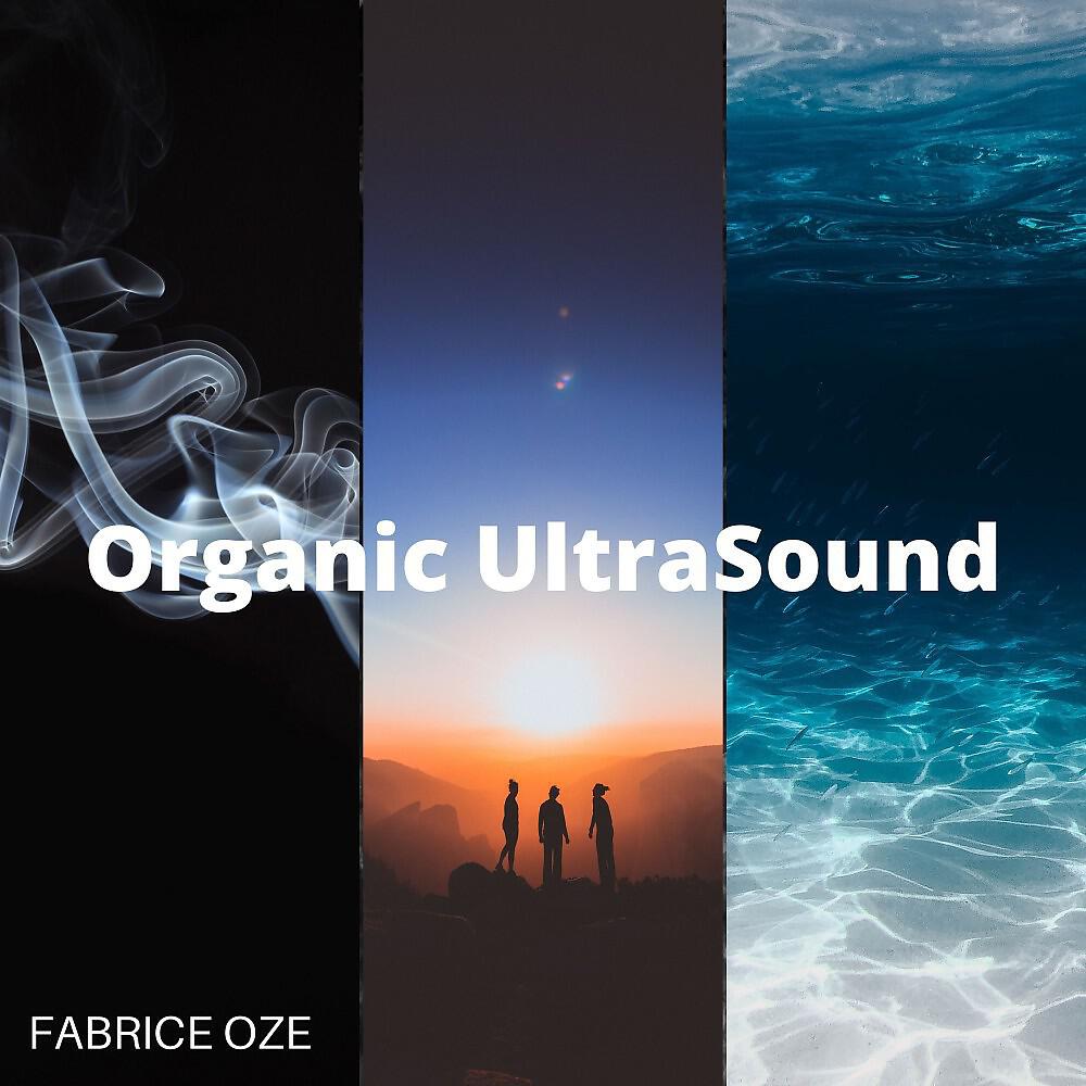 Релиз Organic Ultrasound