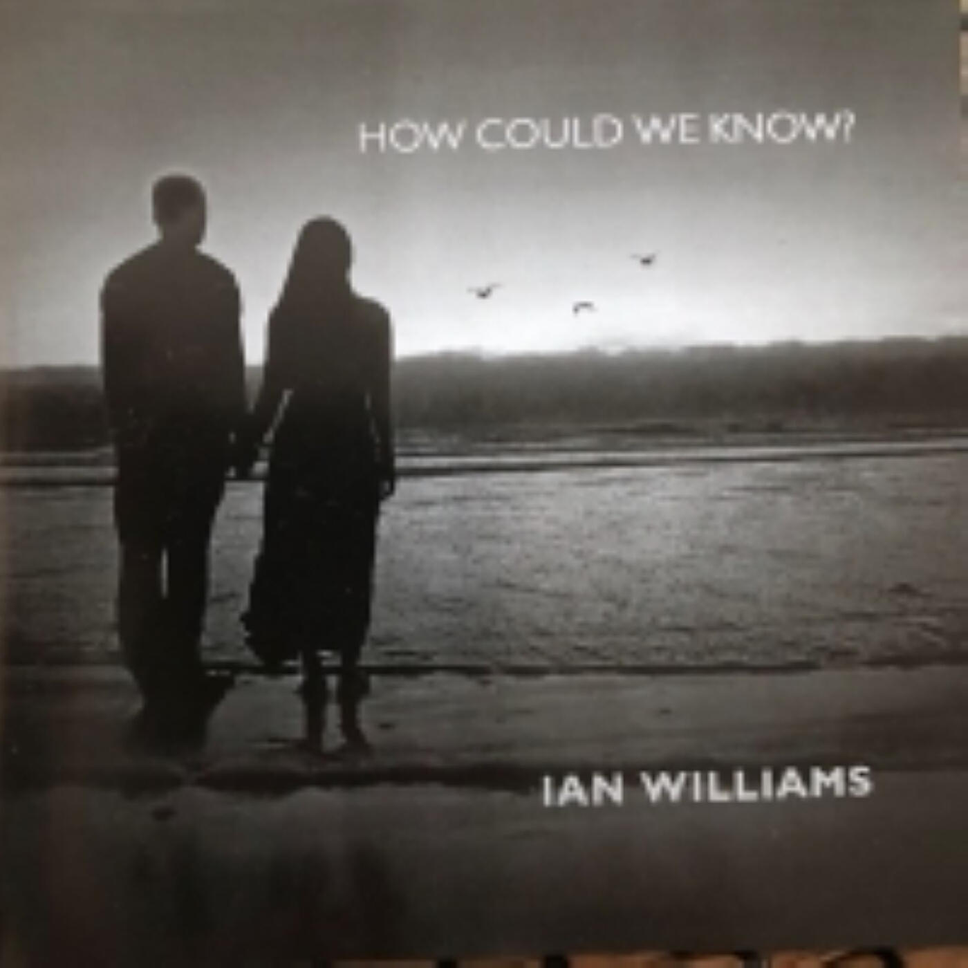 Релиз How Could We Know