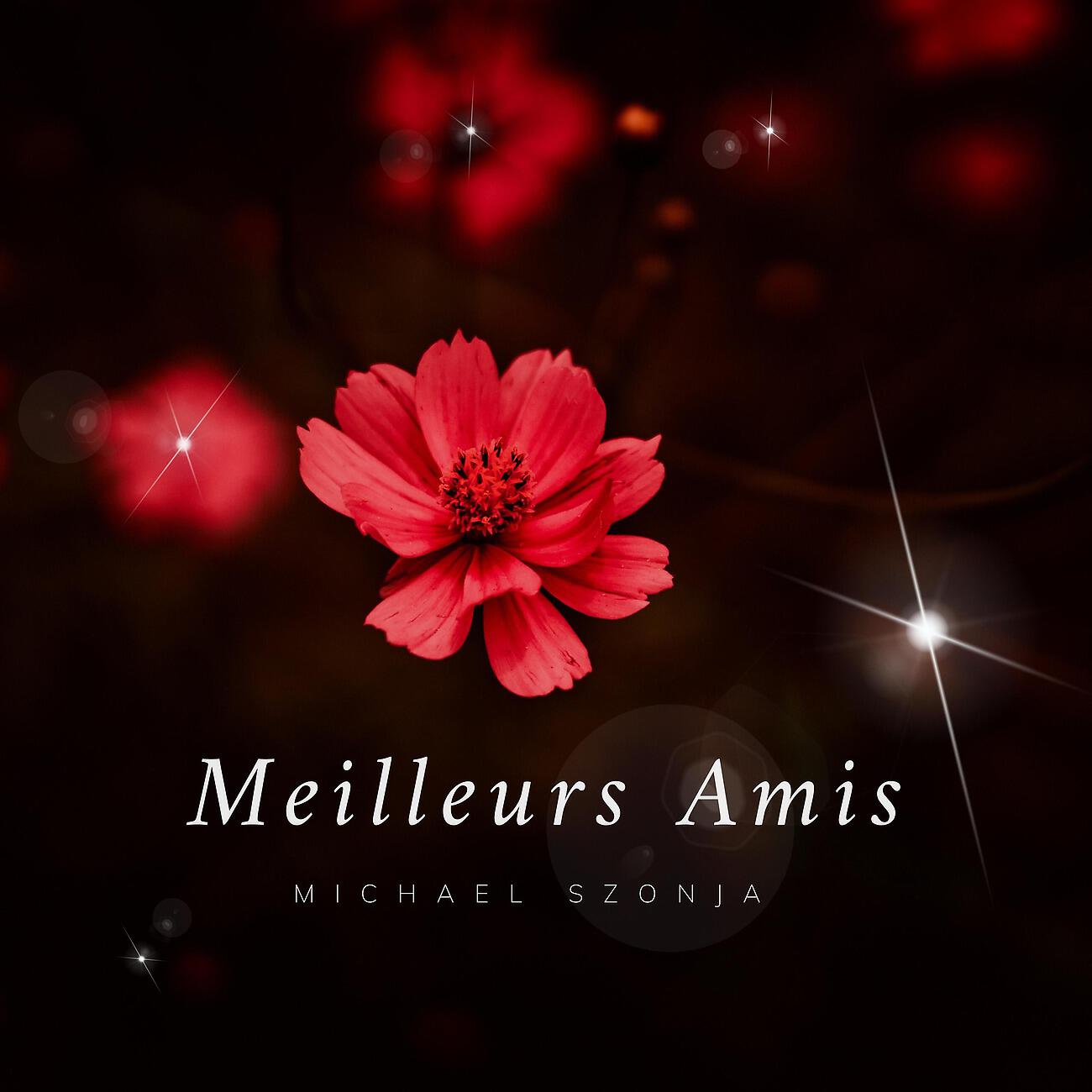 Трек Meilleurs Amis