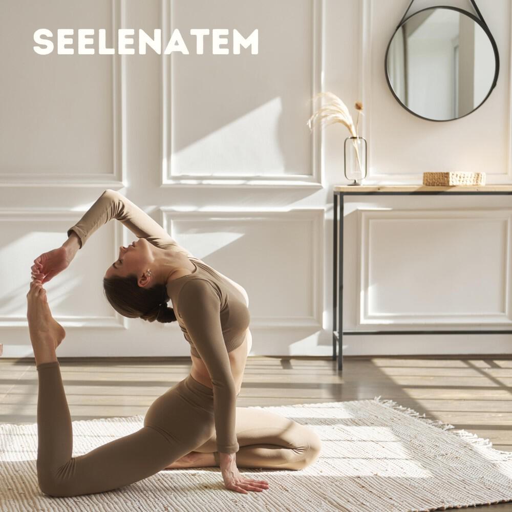 Релиз Seelenatem
