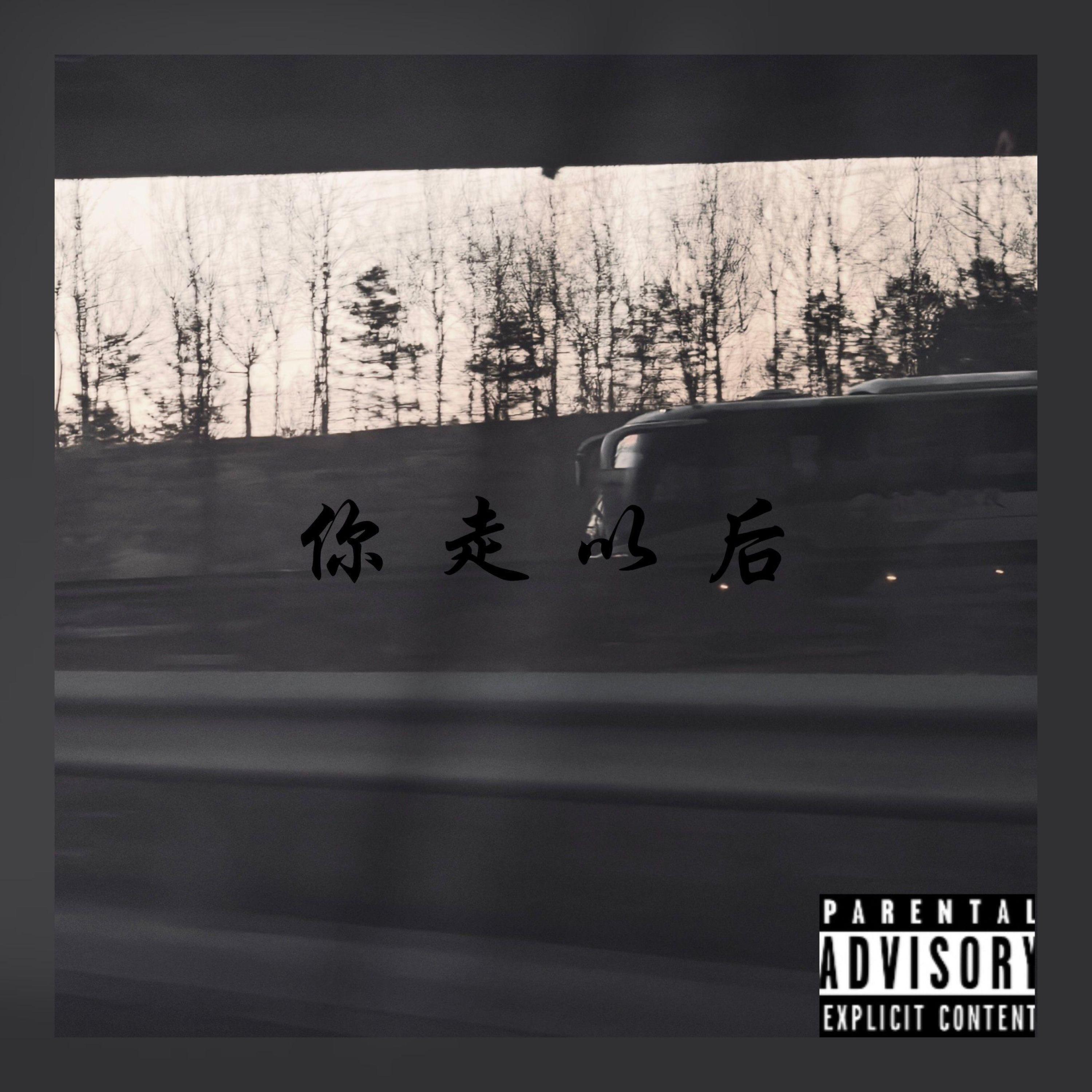 Релиз 你走以后