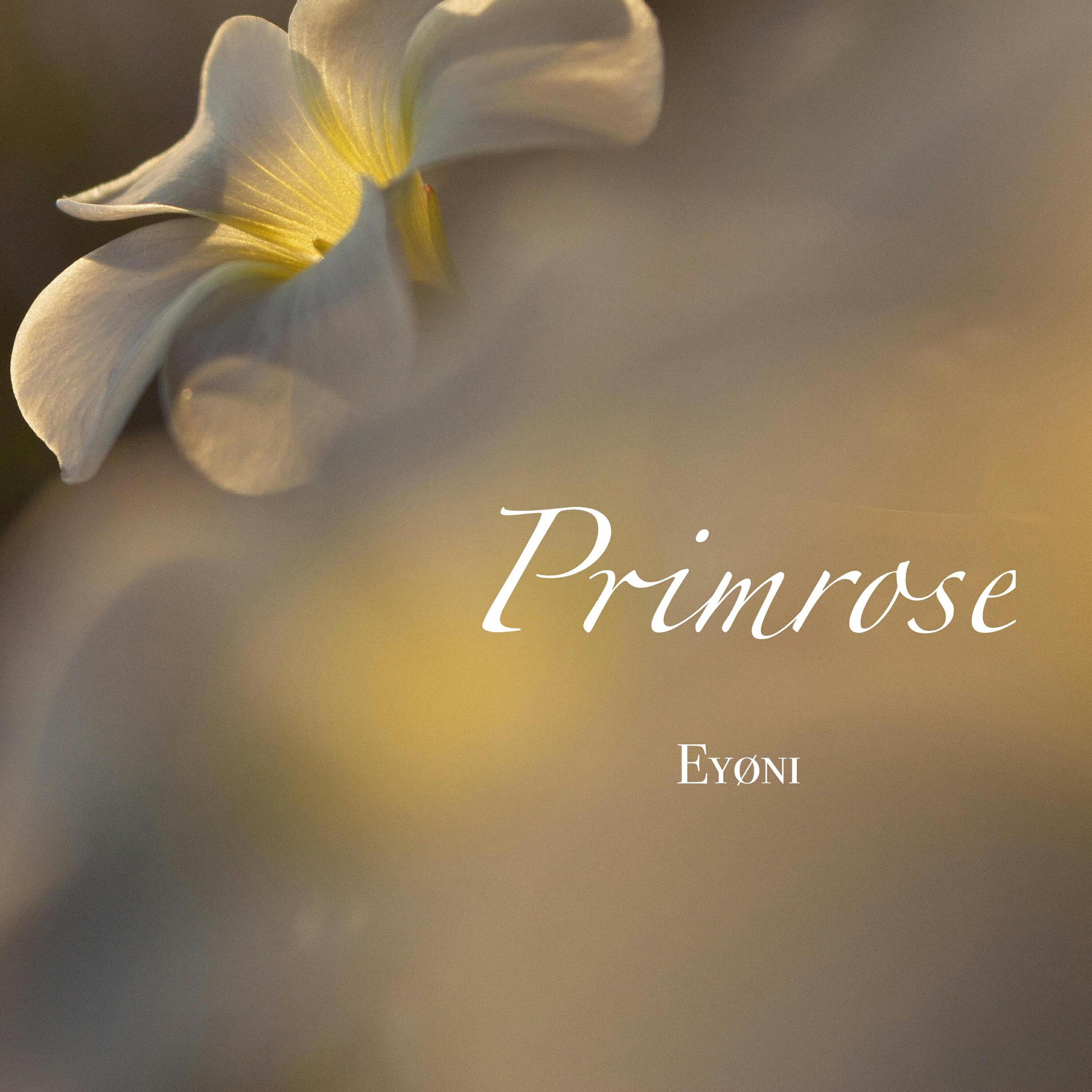 Релиз Primrose
