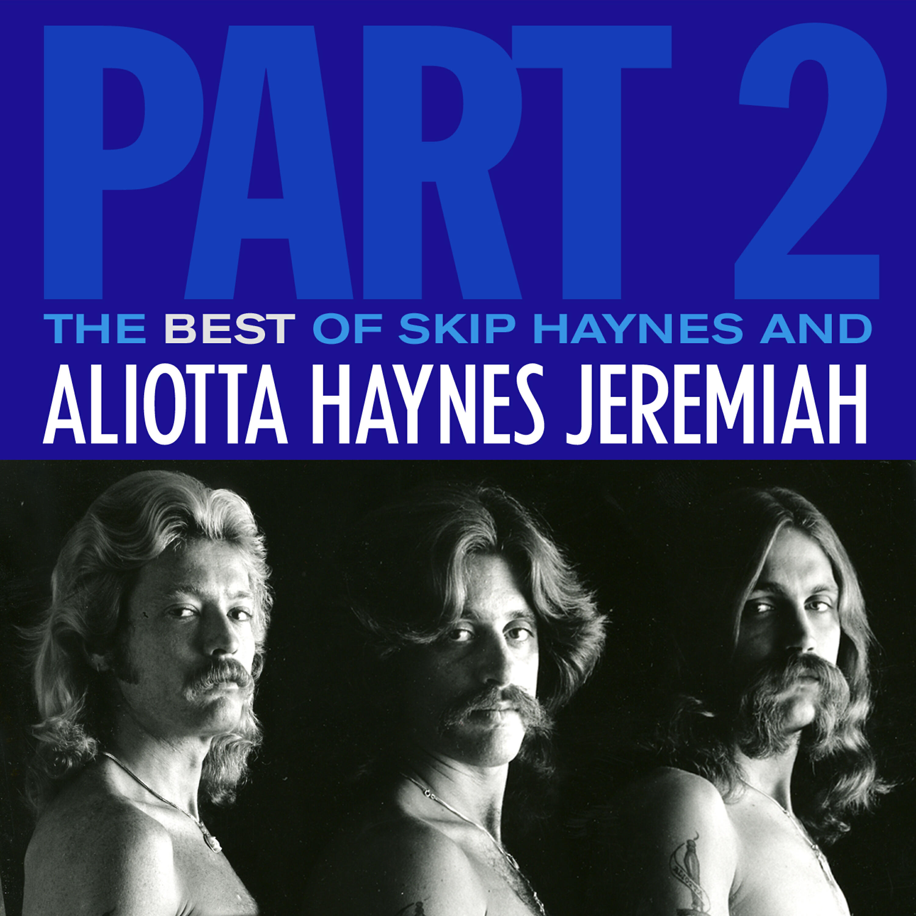 Релиз The Best of Skip Haynes & Aliotta Haynes Jeremiah - Pt. 2