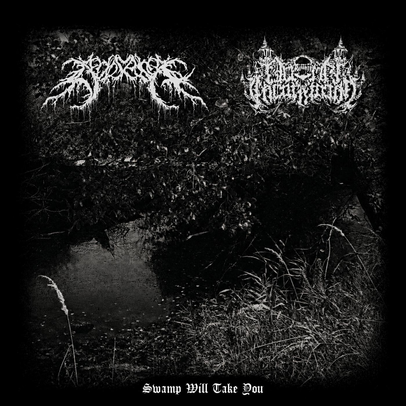 Релиз Swamp Will Take You