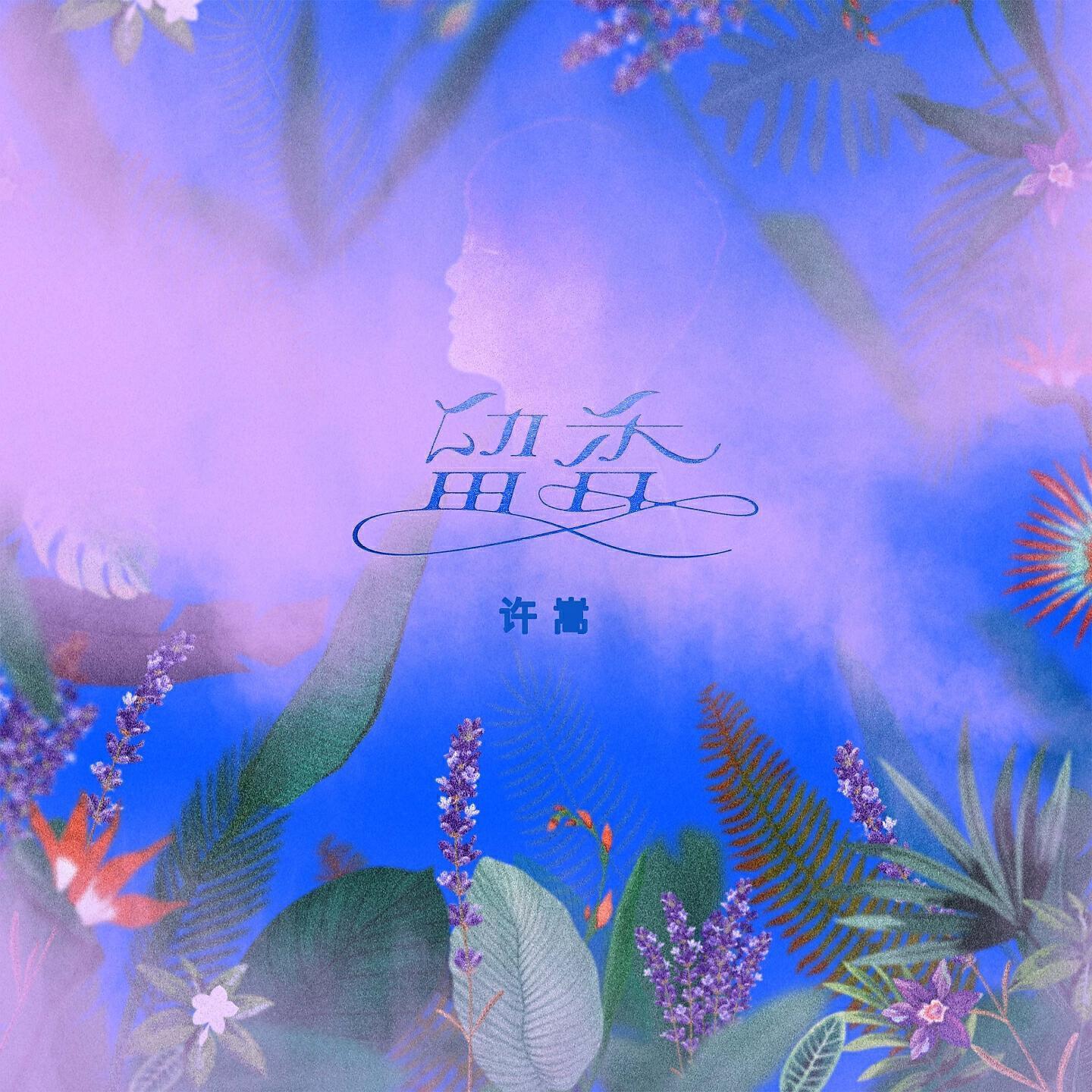 许嵩
