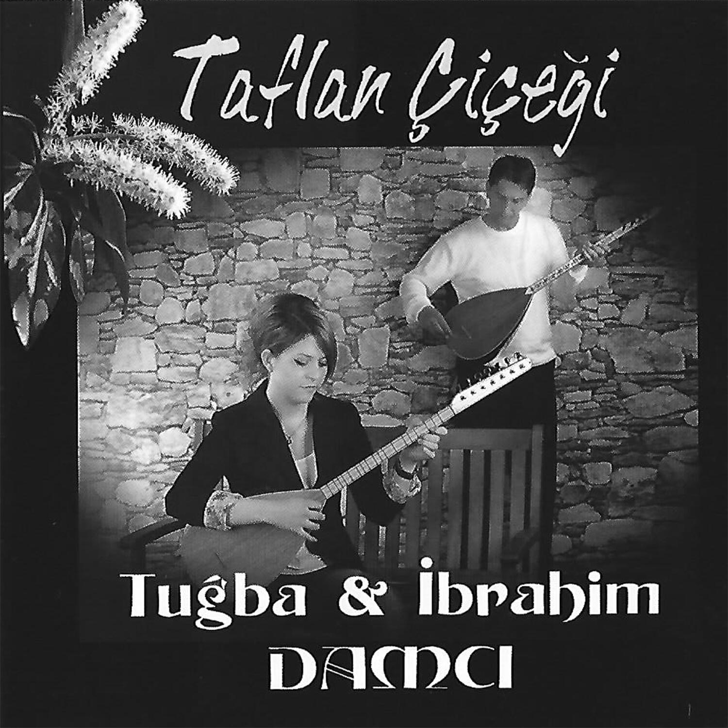 Релиз Taflan Çiçeği