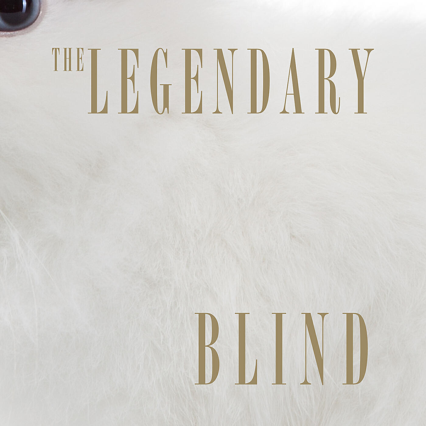 Релиз Blind