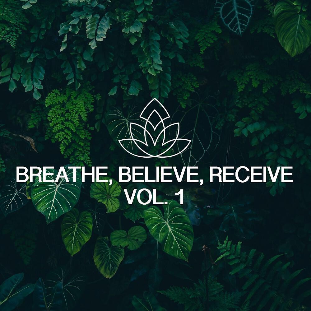 Релиз Breathe, Believe, Receive, Vol. 1