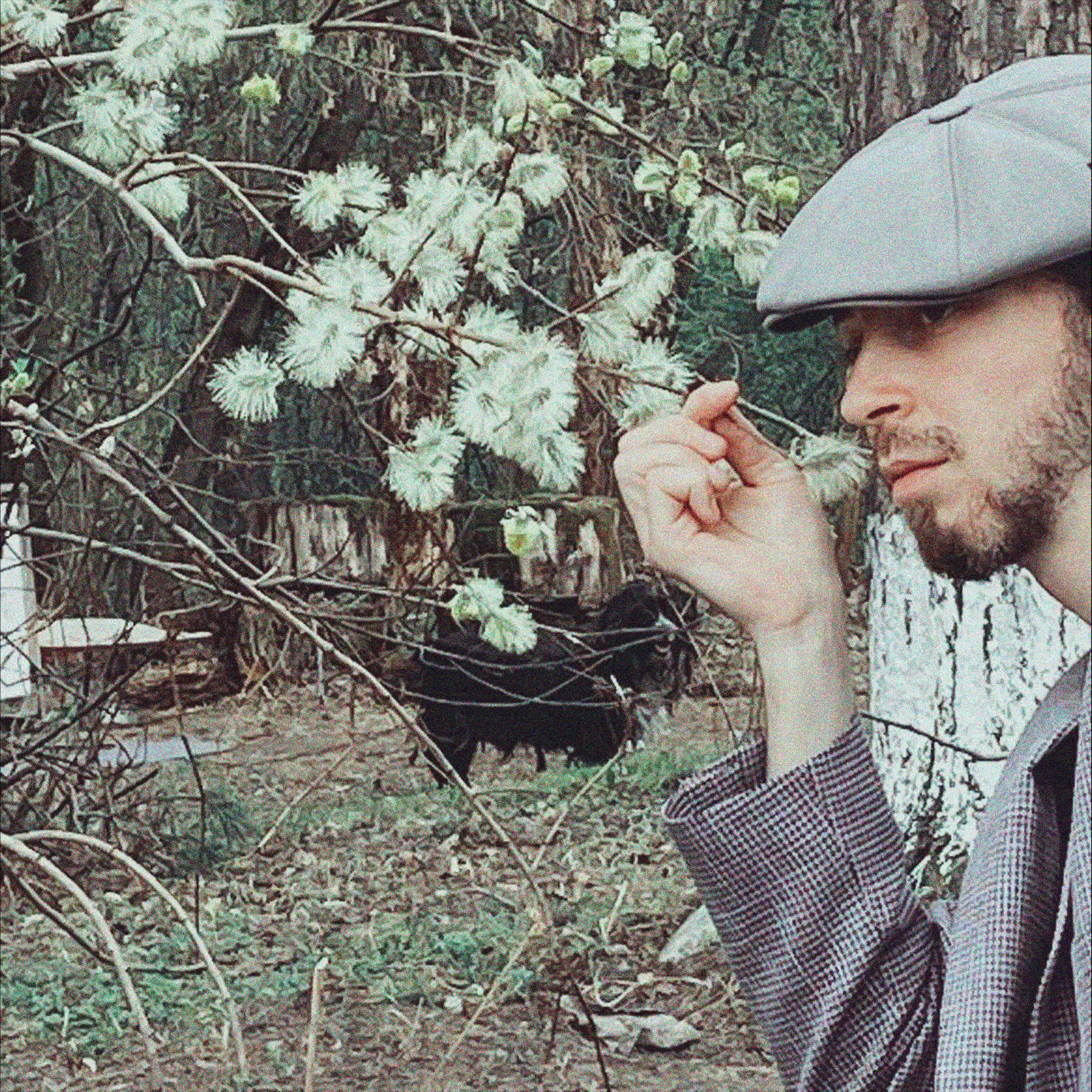 Релиз Primavera