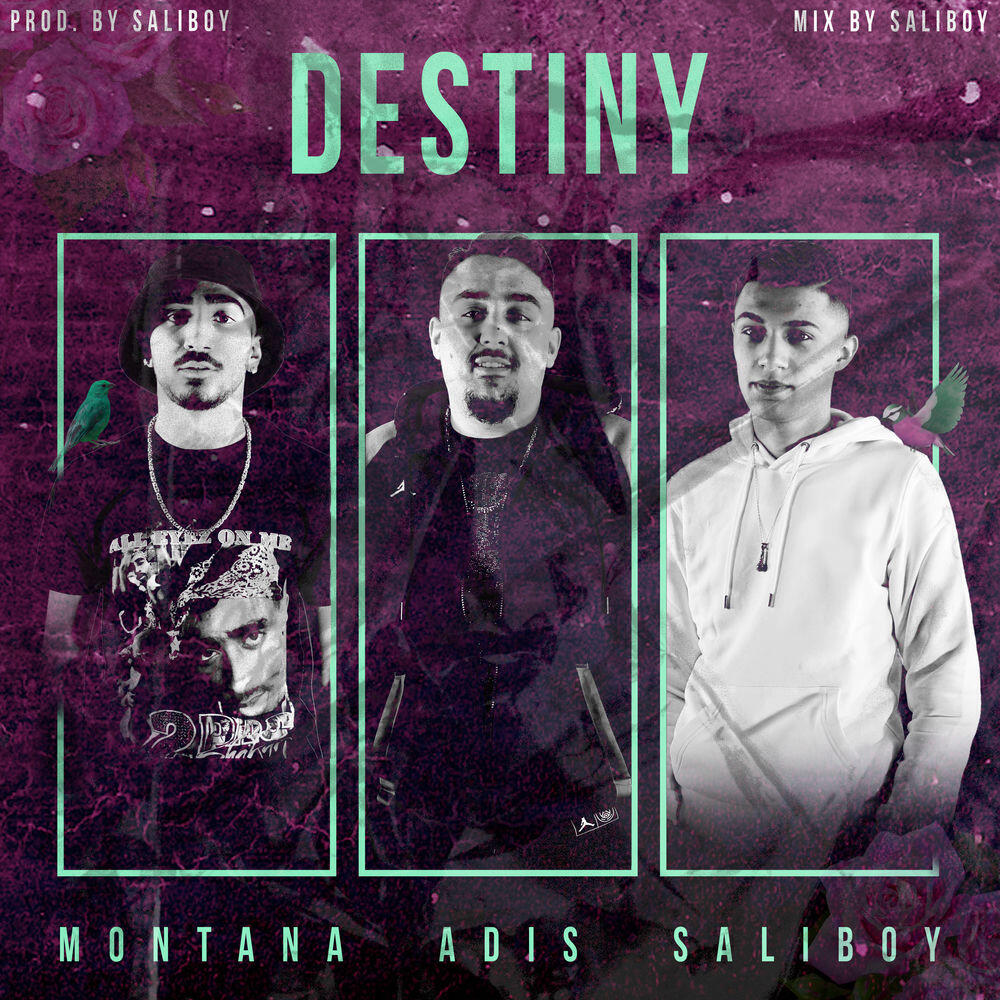 Релиз destiny