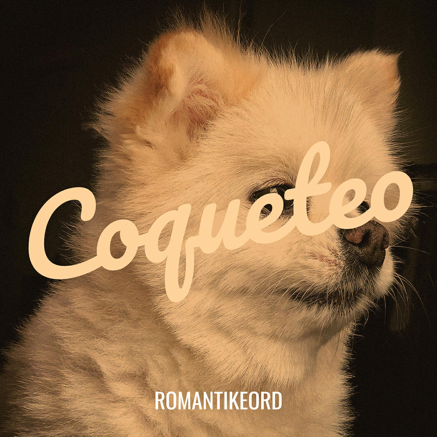 Релиз Coqueteo