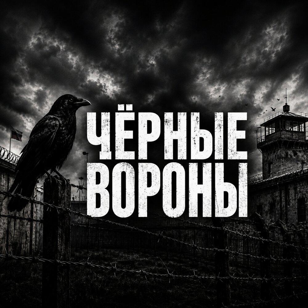 Релиз Чёрные вороны