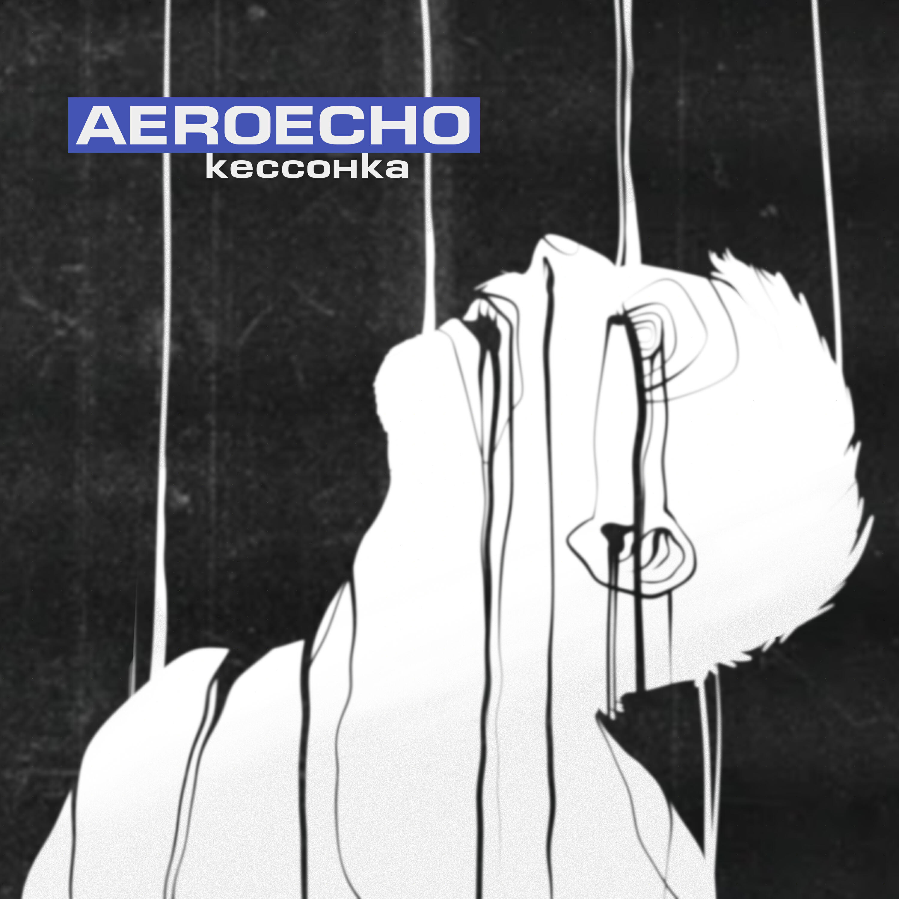 Aeroecho